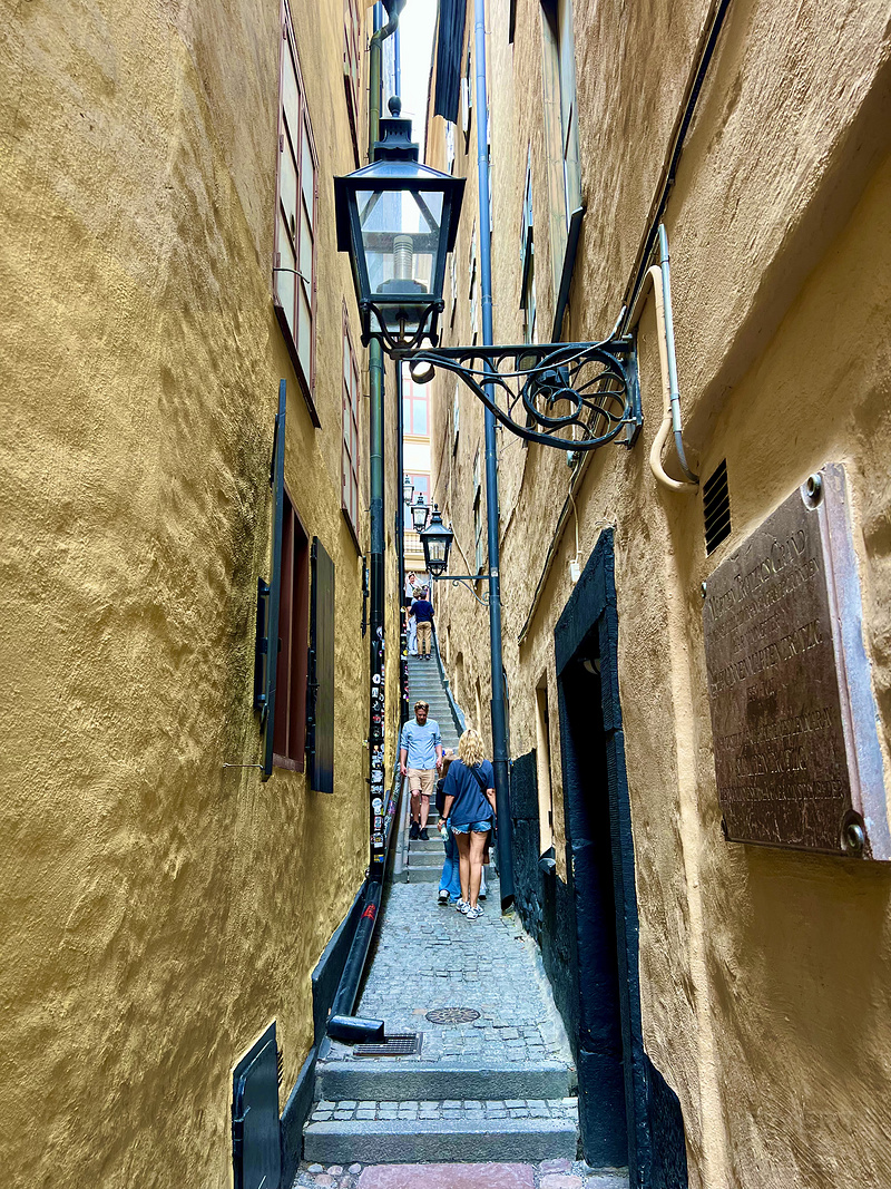 093322SAVPCQLROKZNGJGL.png 093322SAVPCQLROKZNGJGL.png