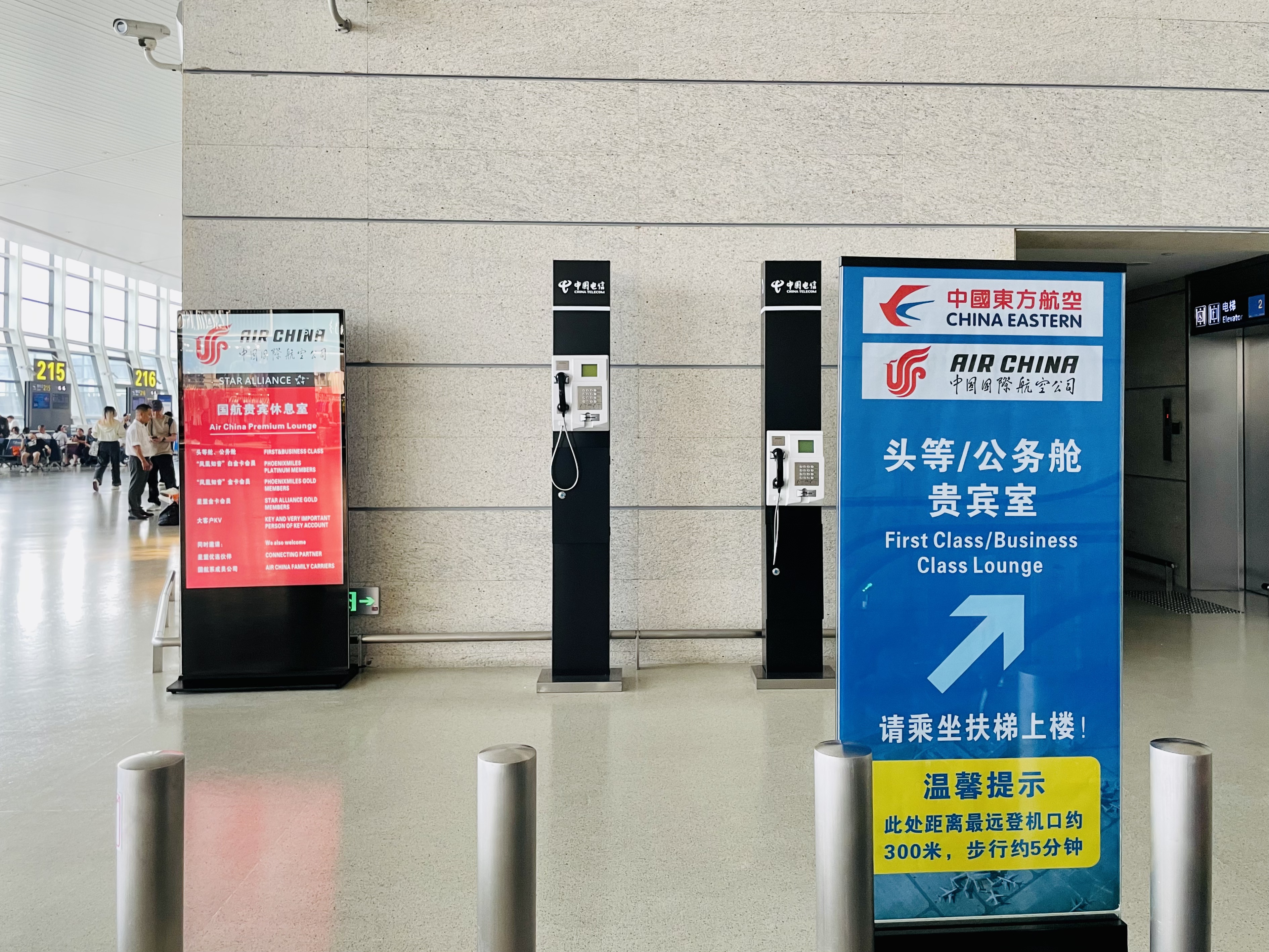 㶫УݹϢңZH9966−