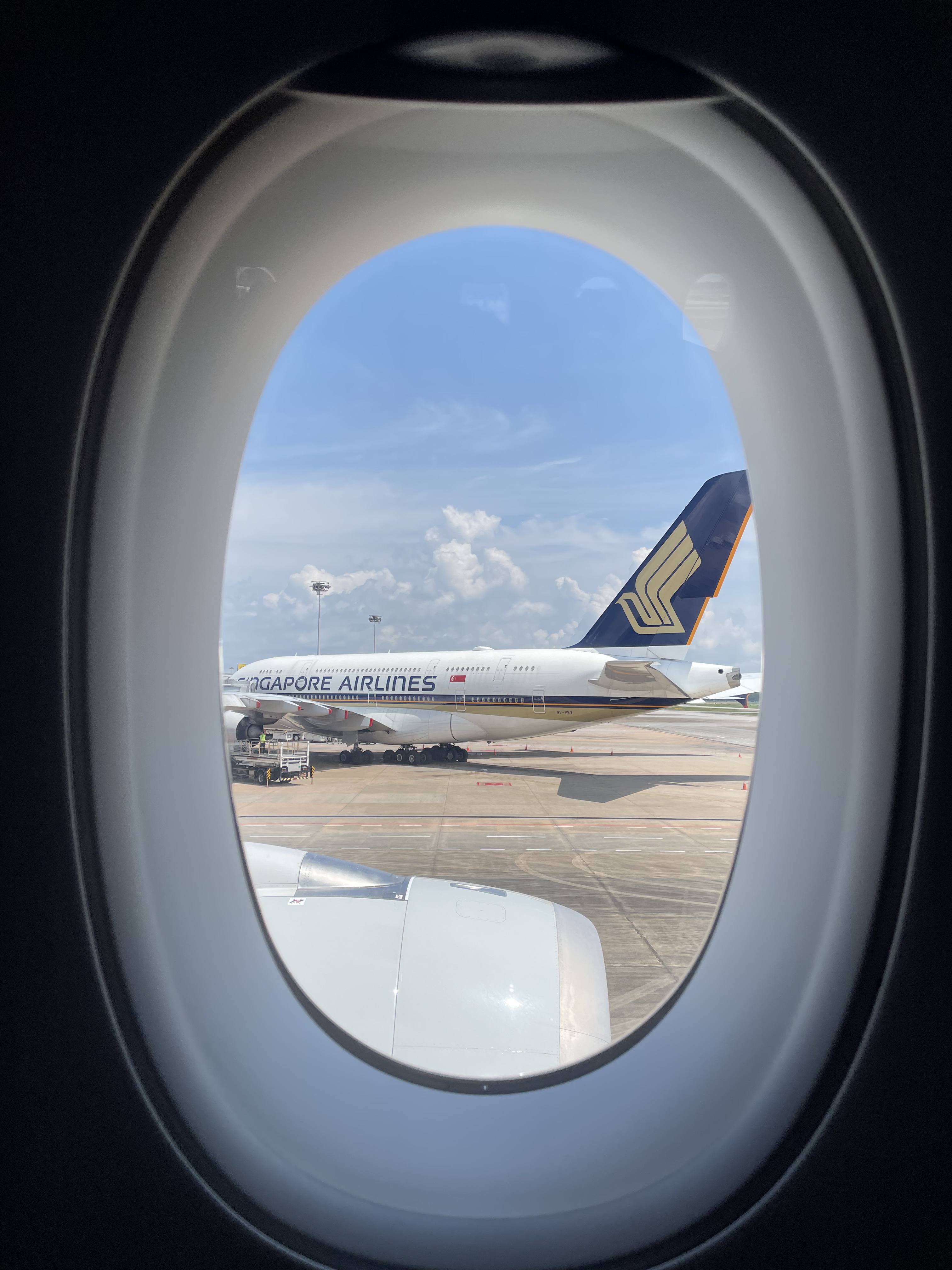 лգTPE-SIN | A350-900  | ʱ