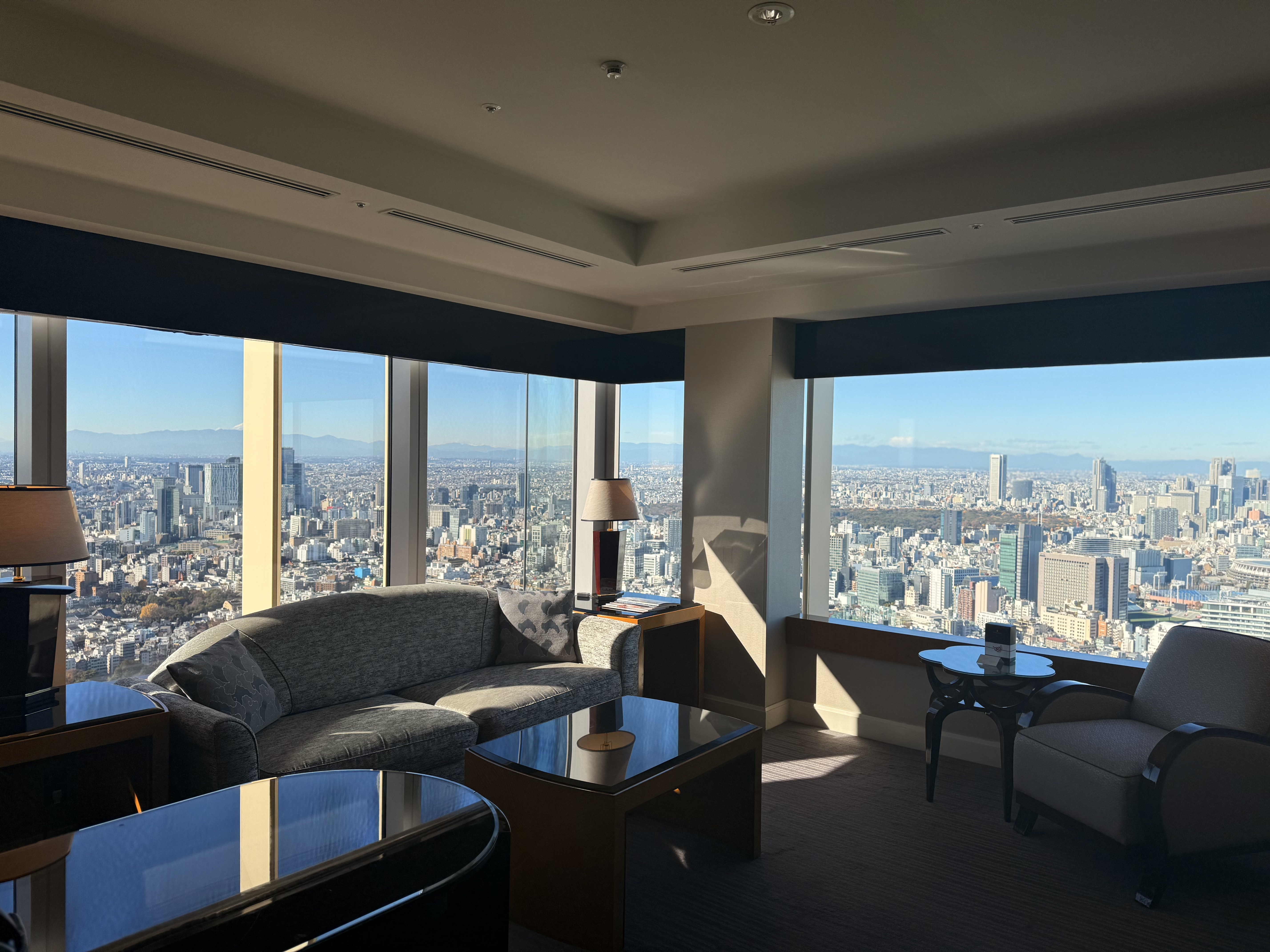 Our view is best in Tokyo˼پƵ