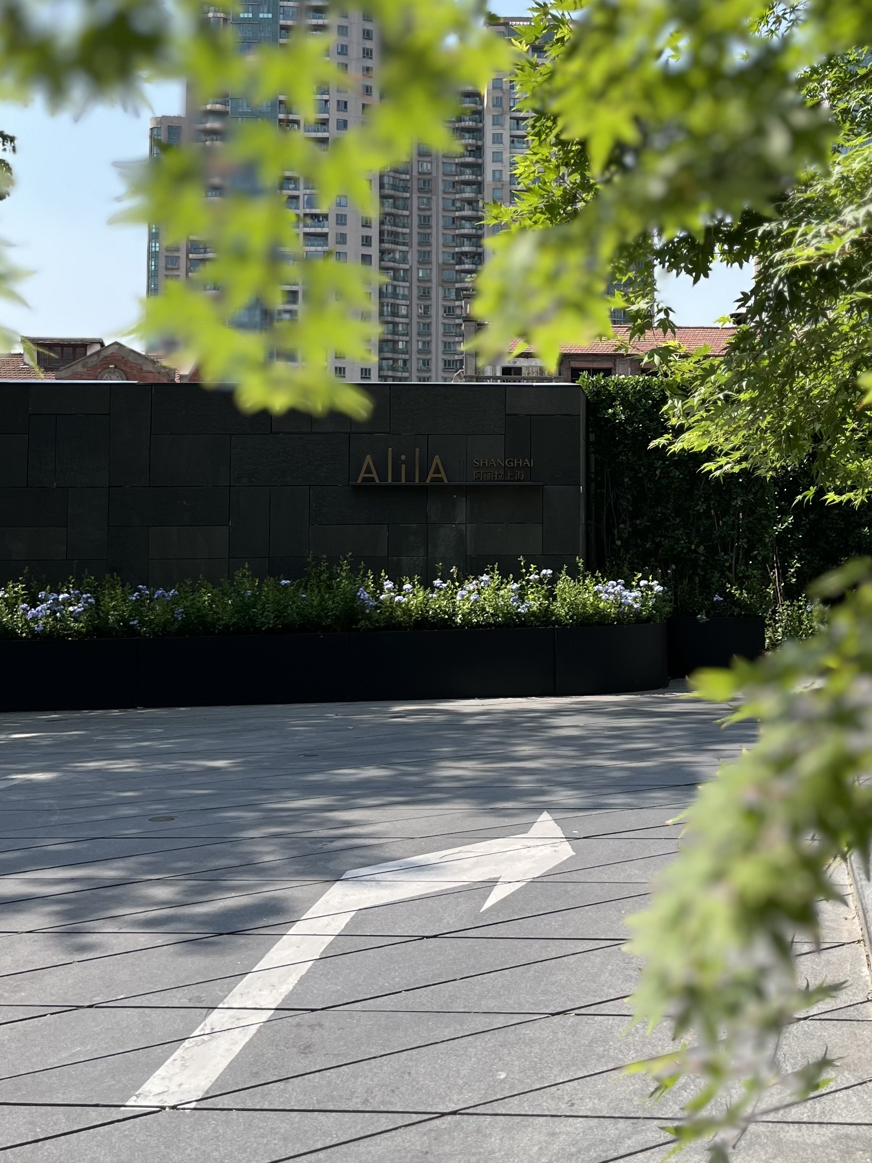 AlilaϺ
