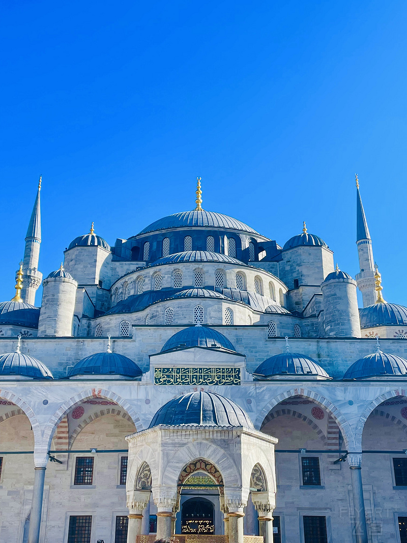 155310ZLHPYUHSPPBUFFTN.png 155310ZLHPYUHSPPBUFFTN.png