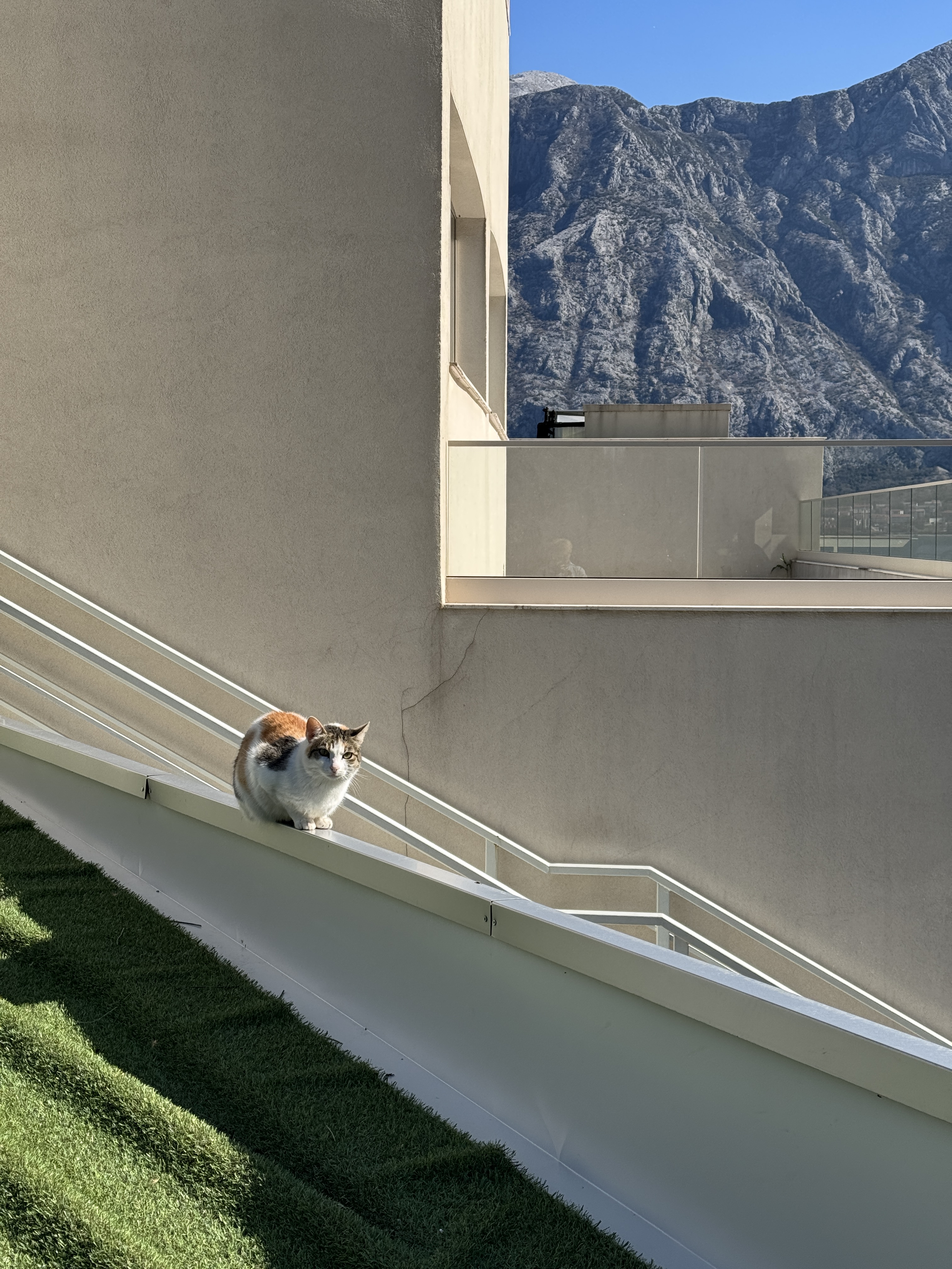 163 ɽж忭öȼٴ/Hyatt Regency kotor bay resort