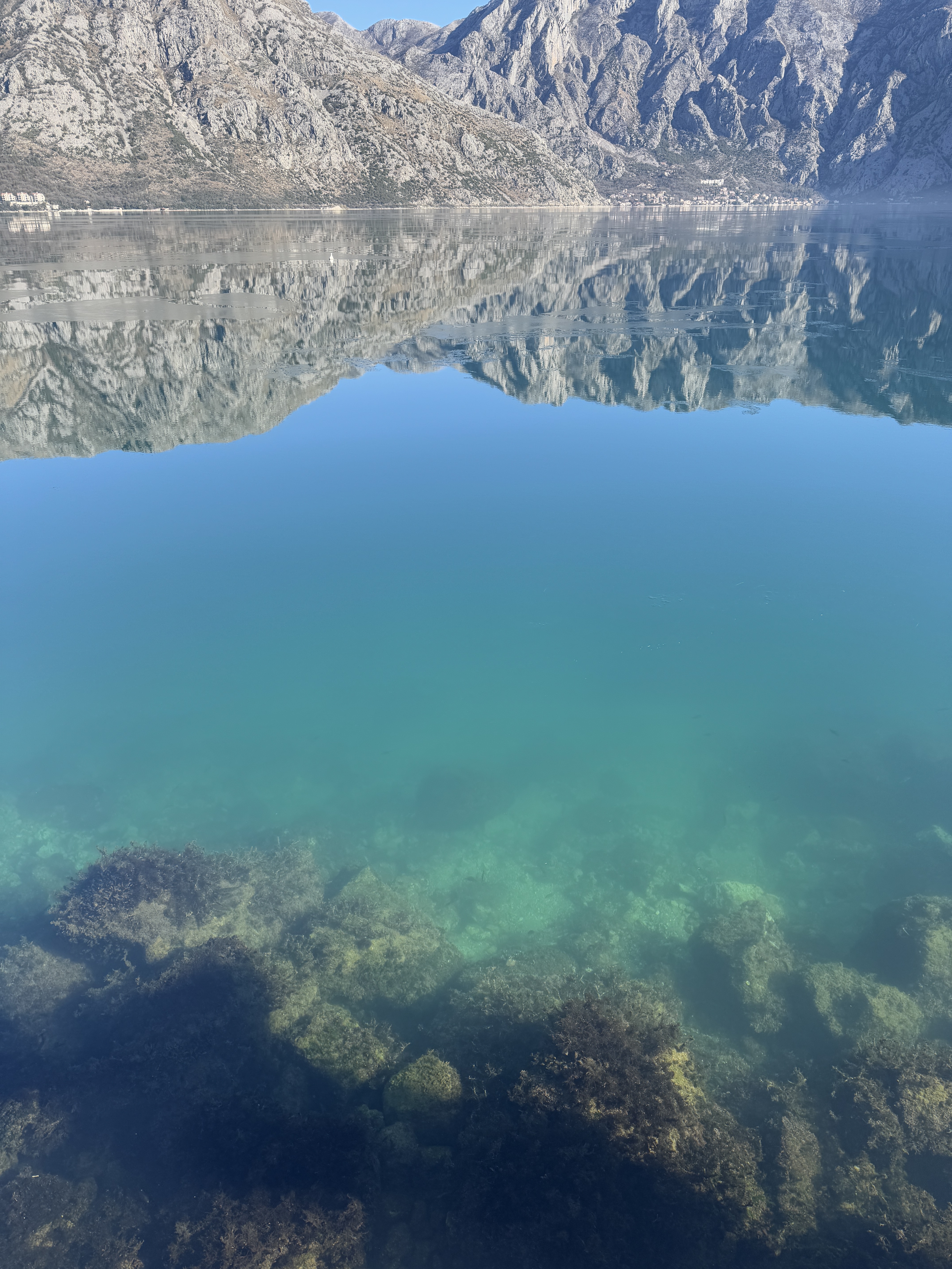 163 ɽж忭öȼٴ/Hyatt Regency kotor bay resort