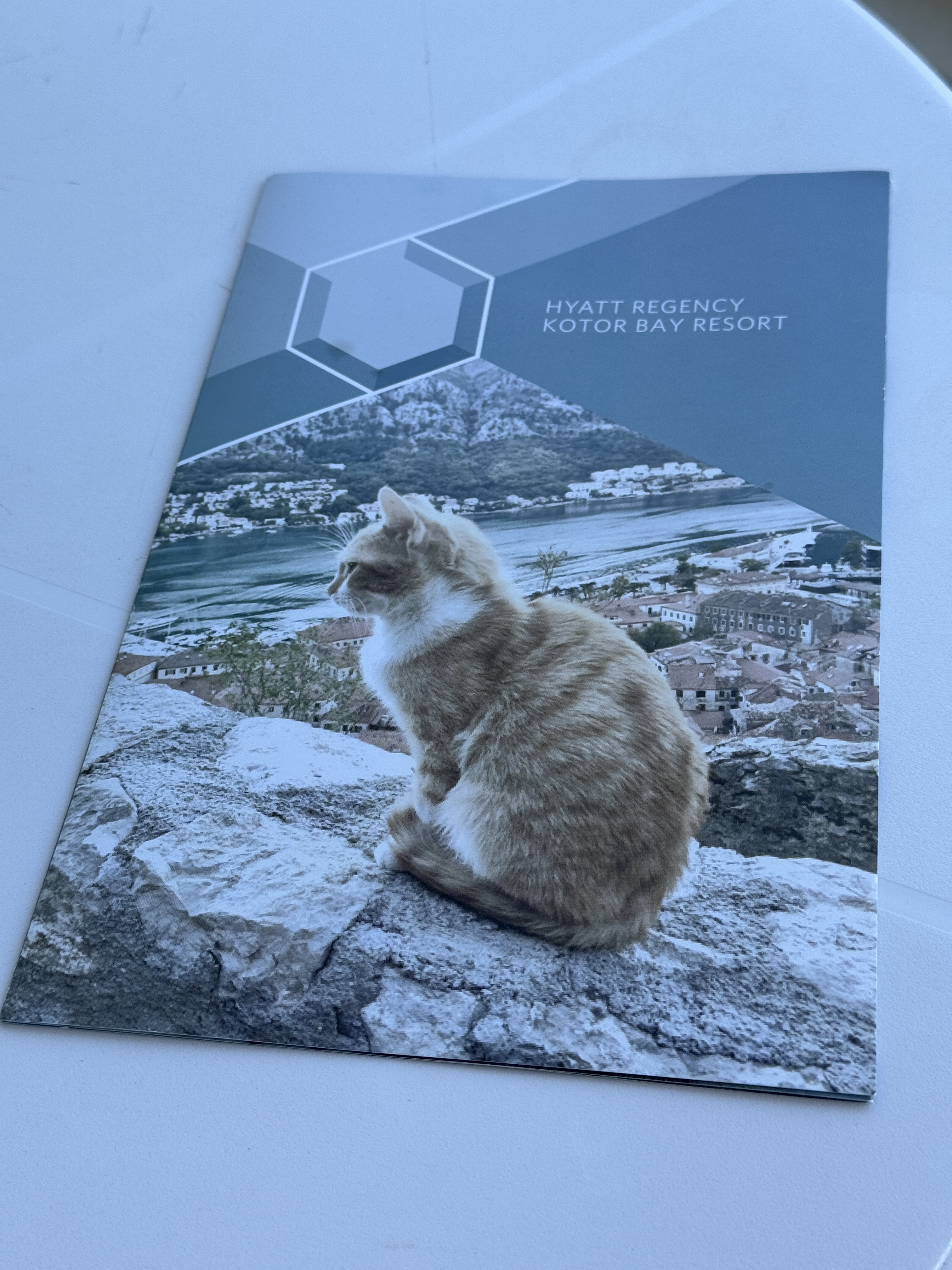 163 ɽж忭öȼٴ/Hyatt Regency kotor bay resort
