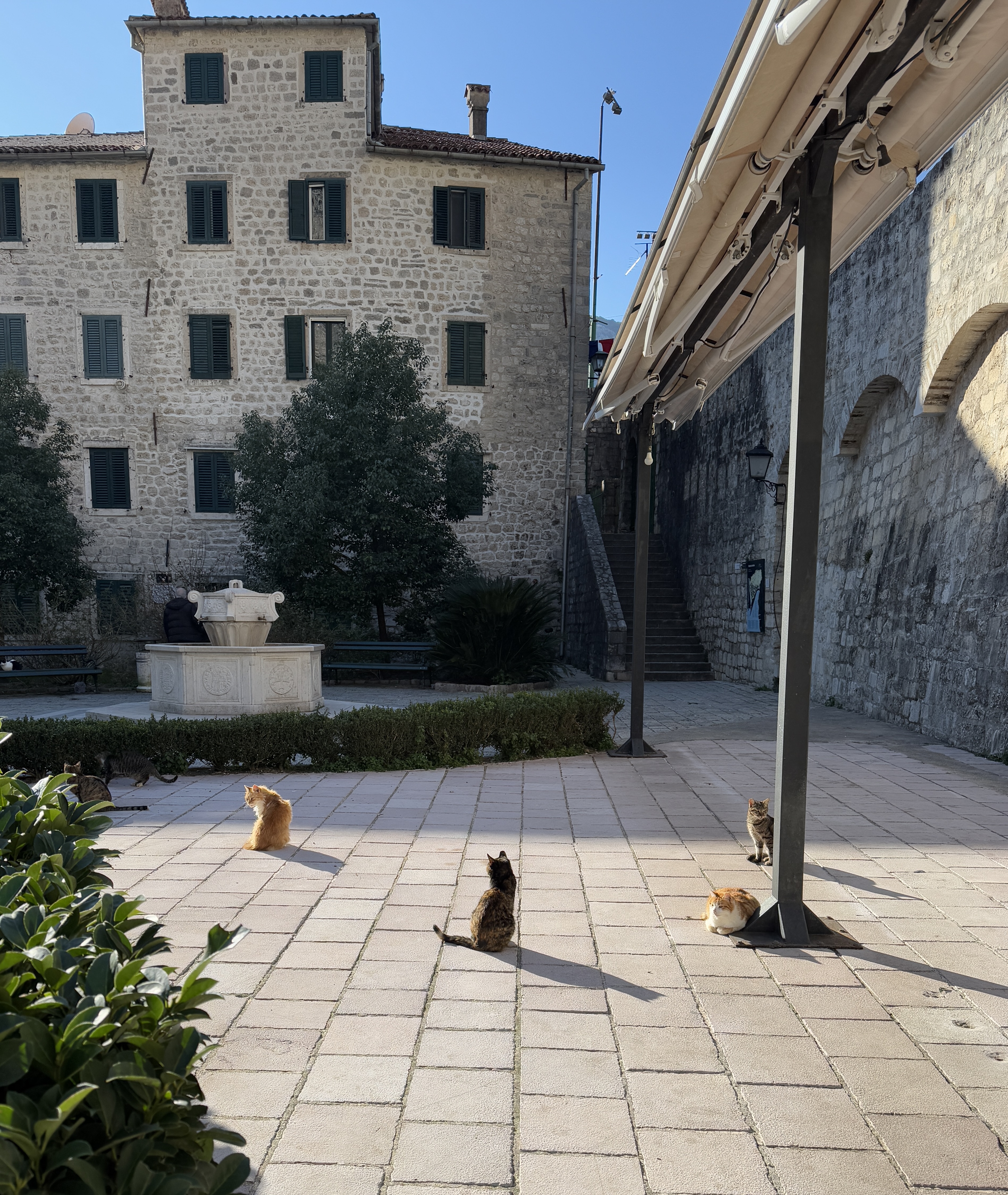 163 ɽж忭öȼٴ/Hyatt Regency kotor bay resort