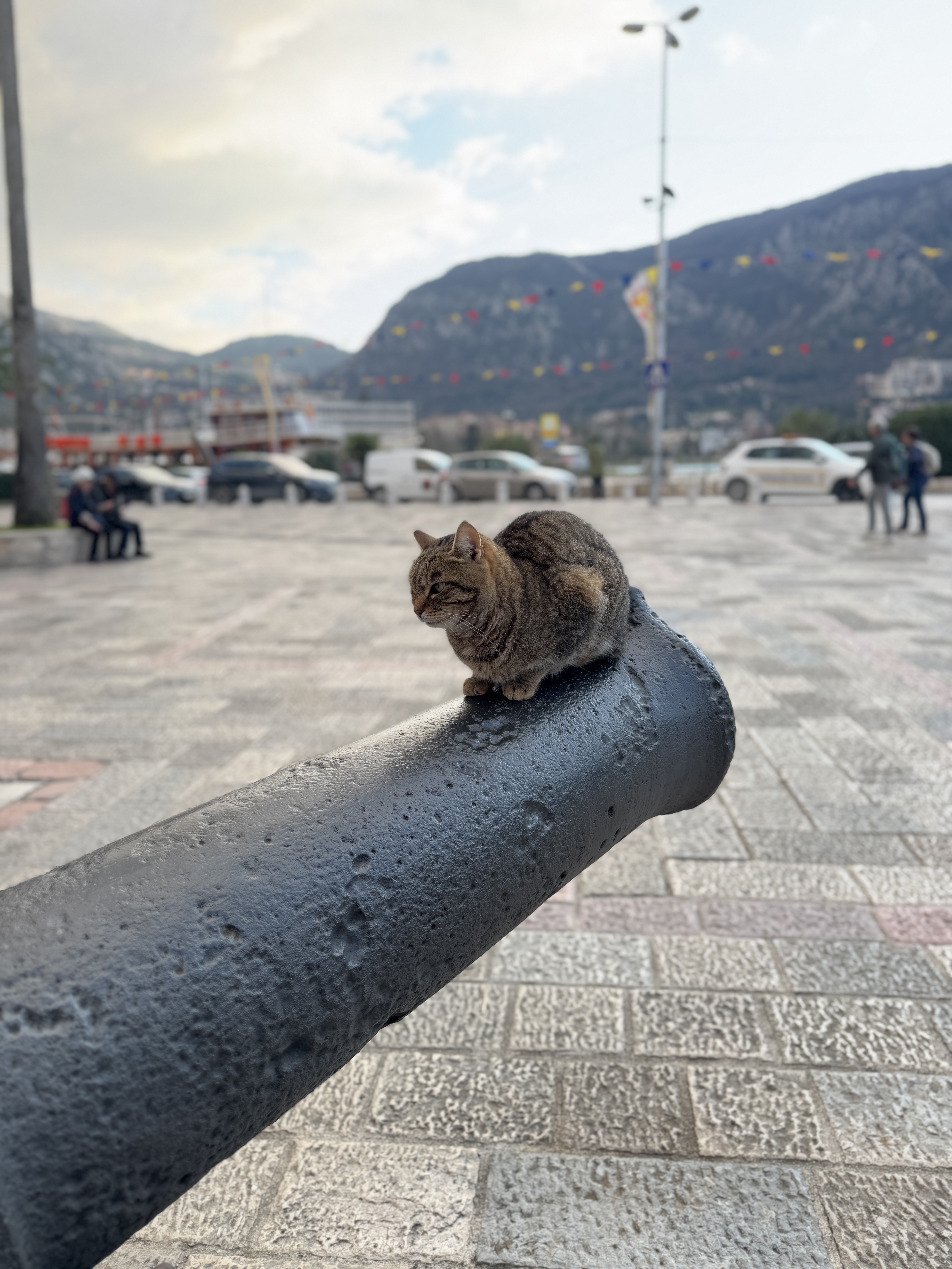 163 ɽж忭öȼٴ/Hyatt Regency kotor bay resort