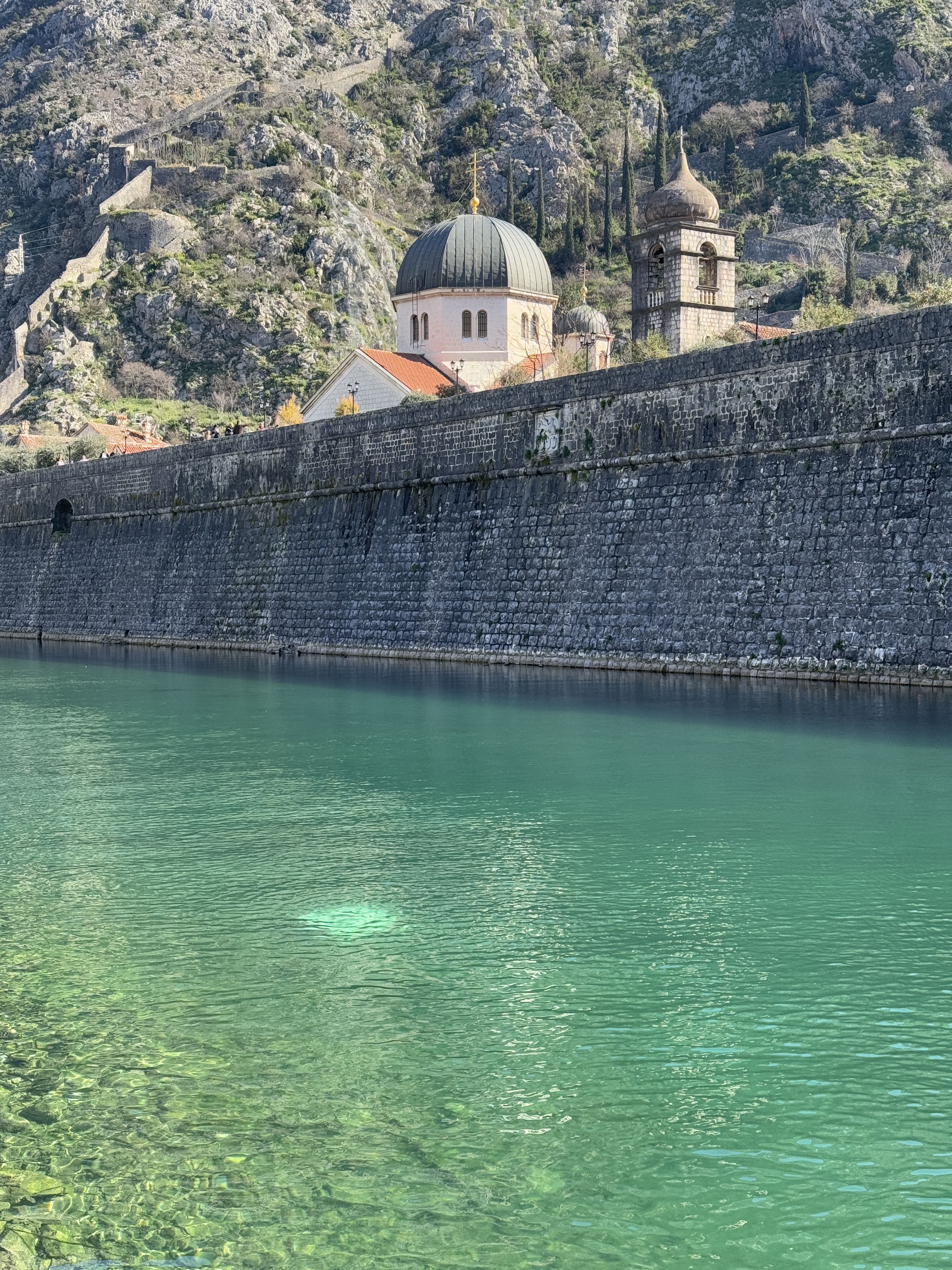 163 ɽж忭öȼٴ/Hyatt Regency kotor bay resort