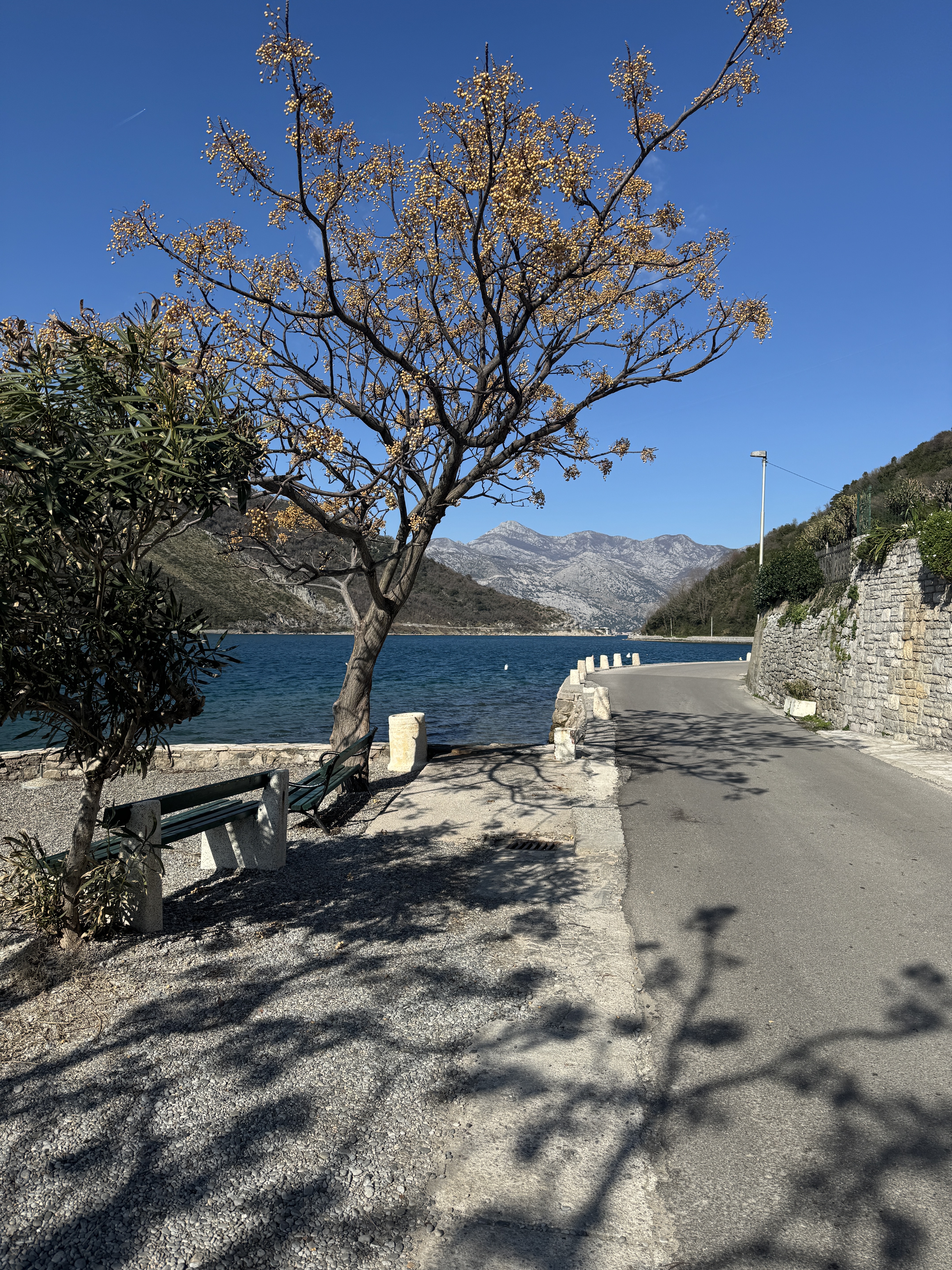 163 ɽж忭öȼٴ/Hyatt Regency kotor bay resort
