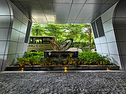 <em>麣</em>ʺ޼ʾƵꡫп