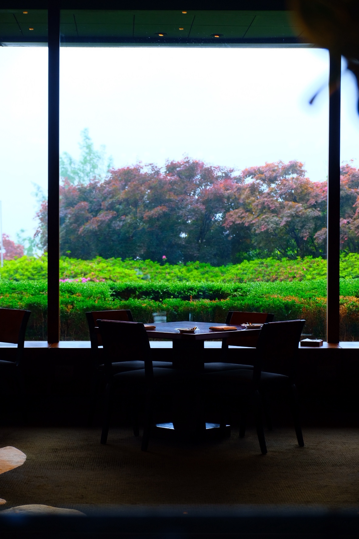 Still in the Spring | ׶֮ @ ׶
