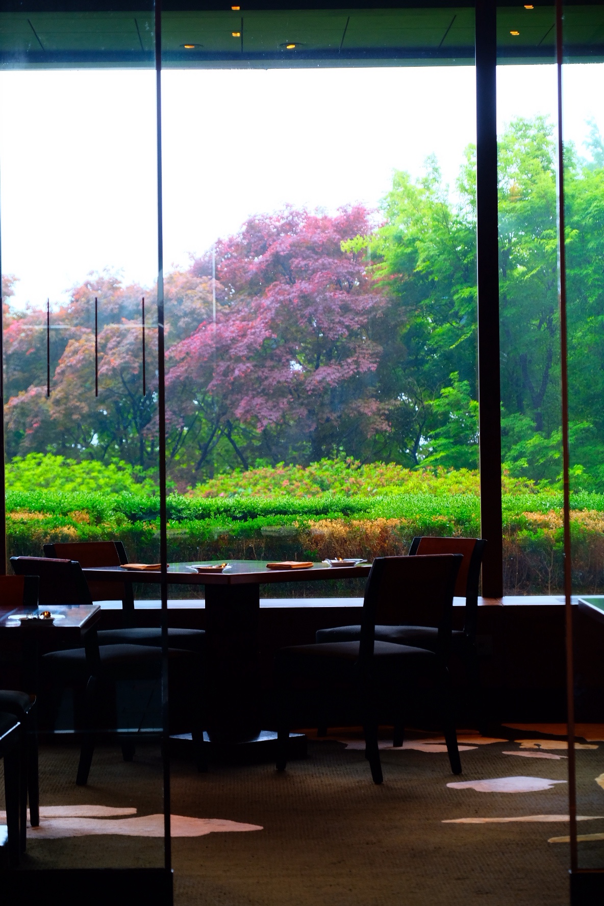 Still in the Spring | ׶֮ @ ׶