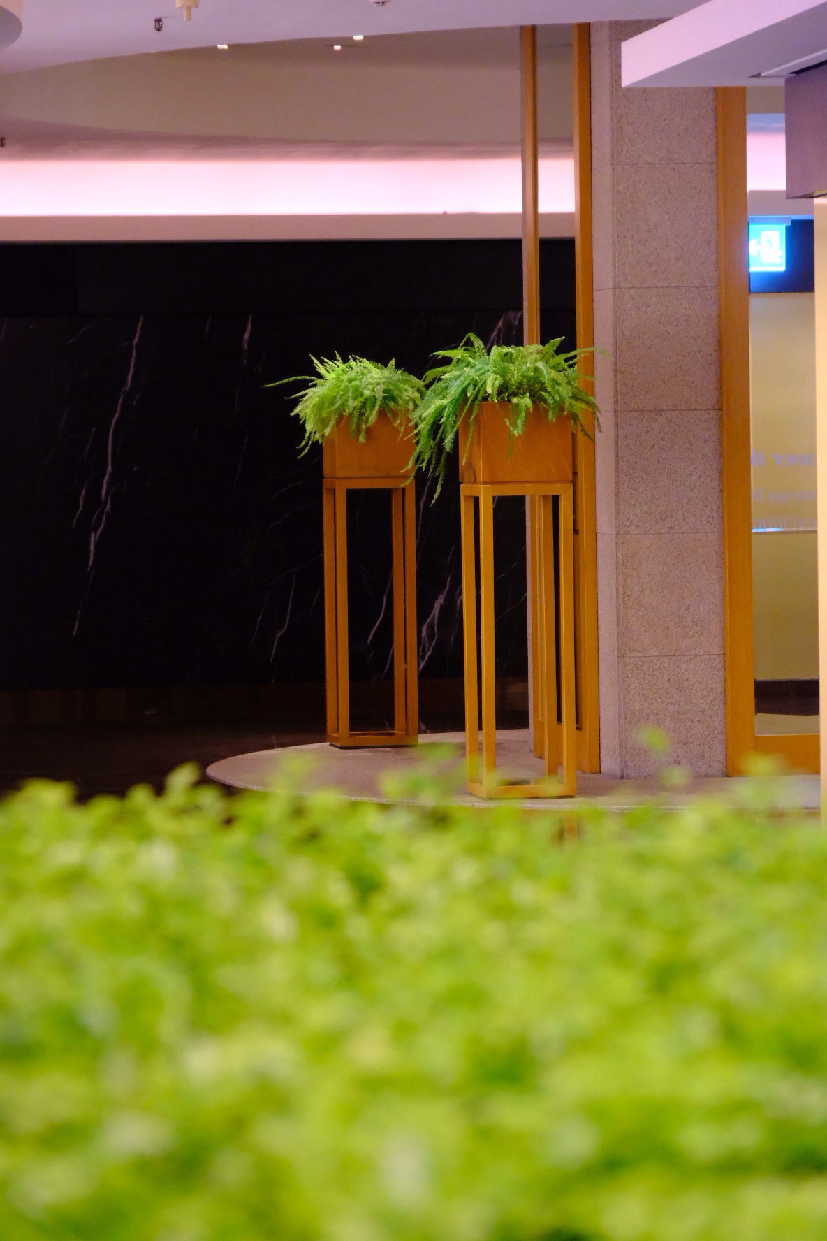 Still in the Spring | ׶֮ @ ׶