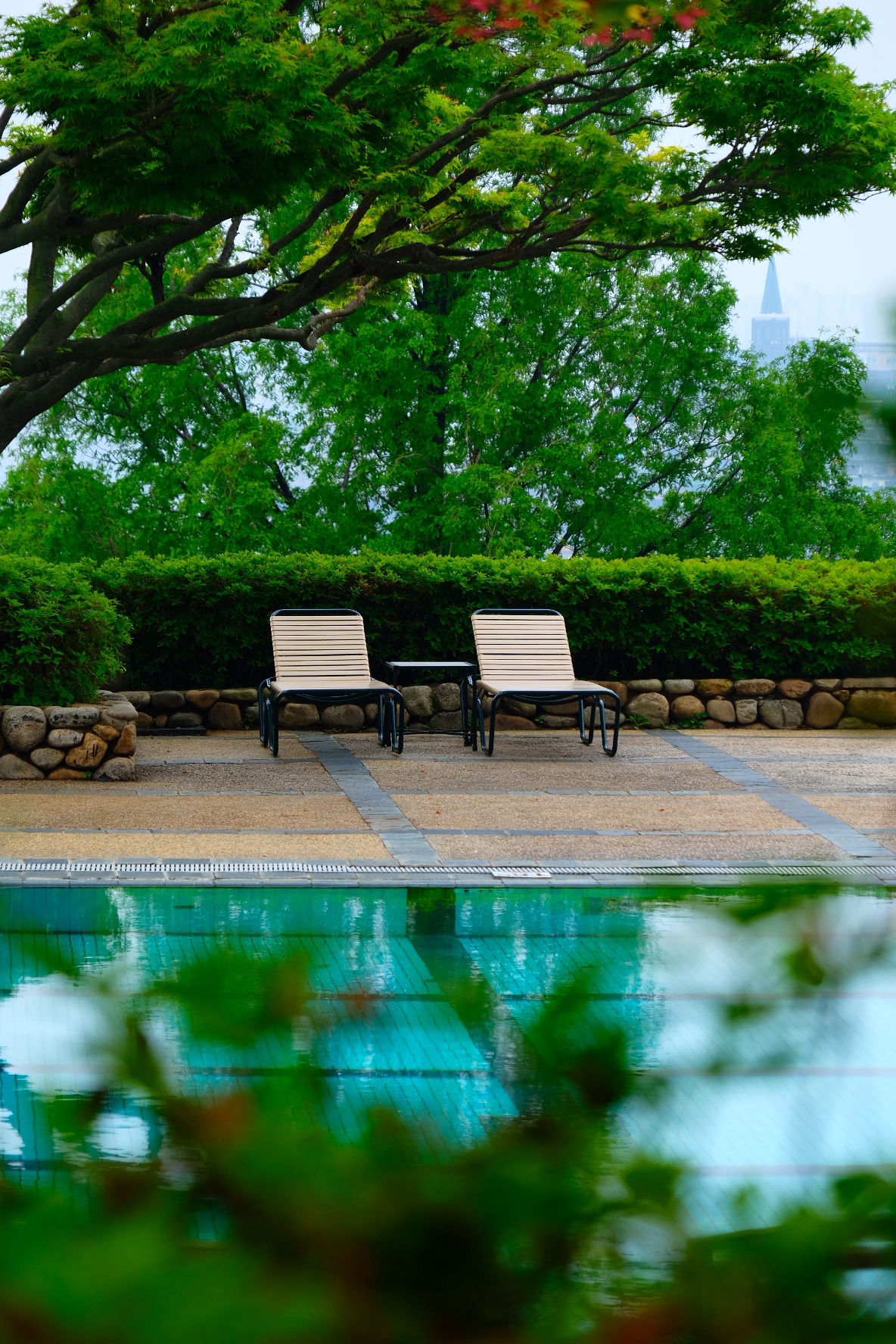 Still in the Spring | ׶֮ @ ׶