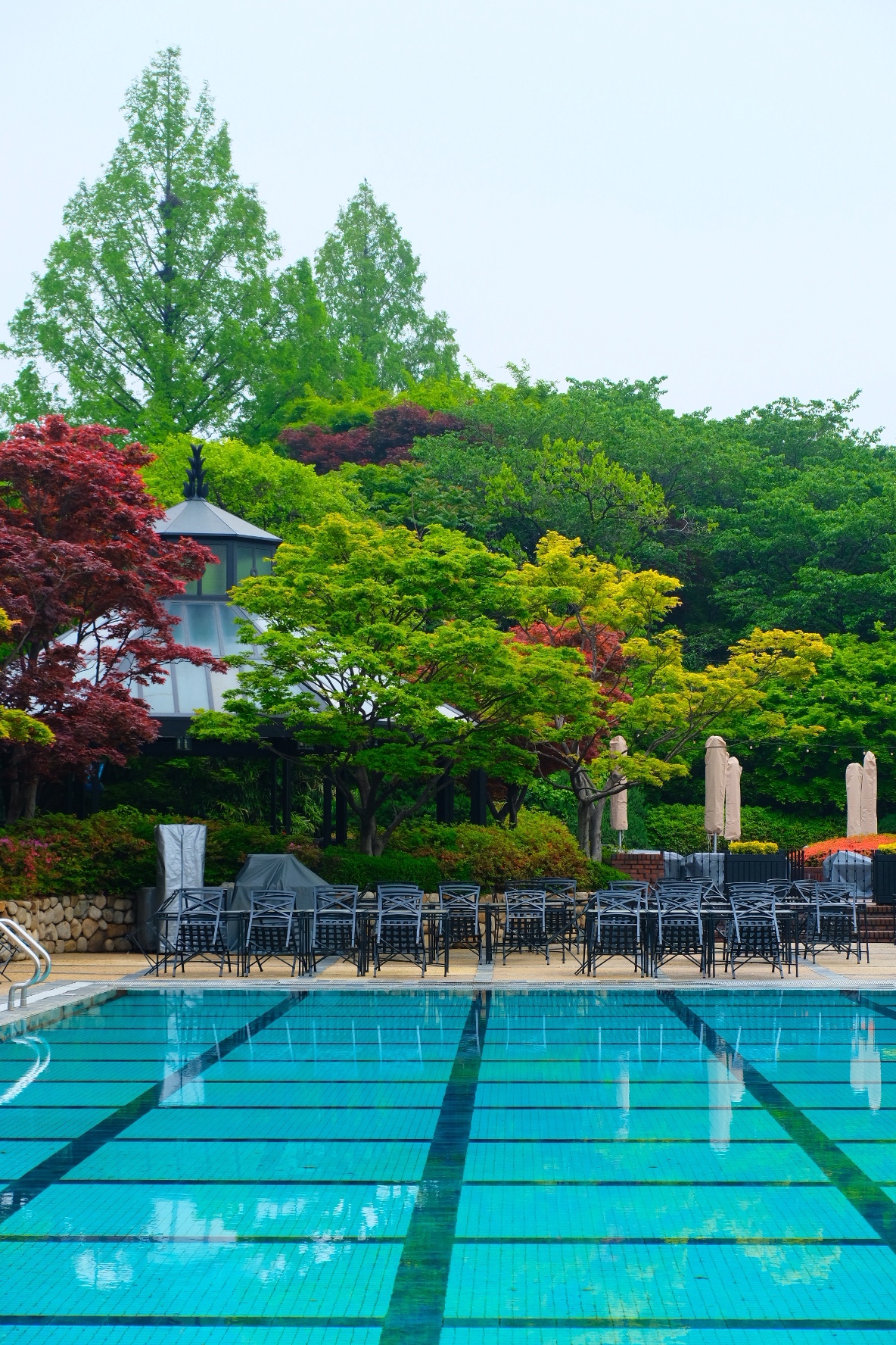 Still in the Spring | ׶֮ @ ׶