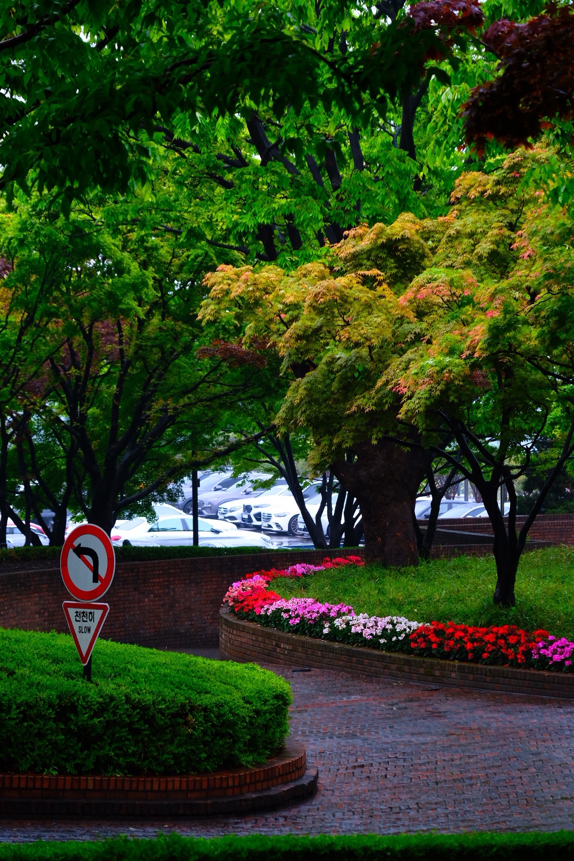 Still in the Spring | ׶֮ @ ׶