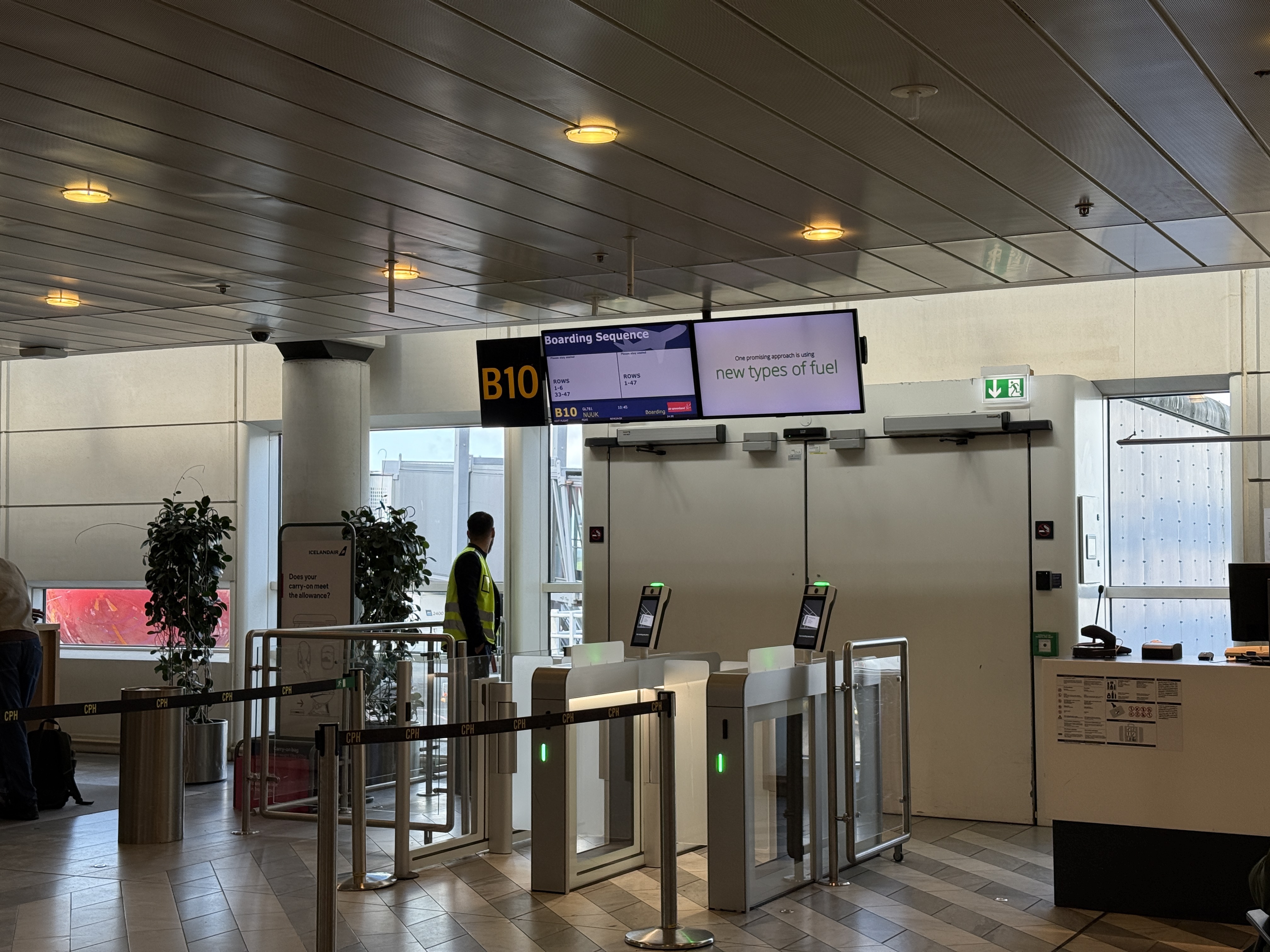գGL781 GL272 籾 - Ŭ - ¬ ͦȦ