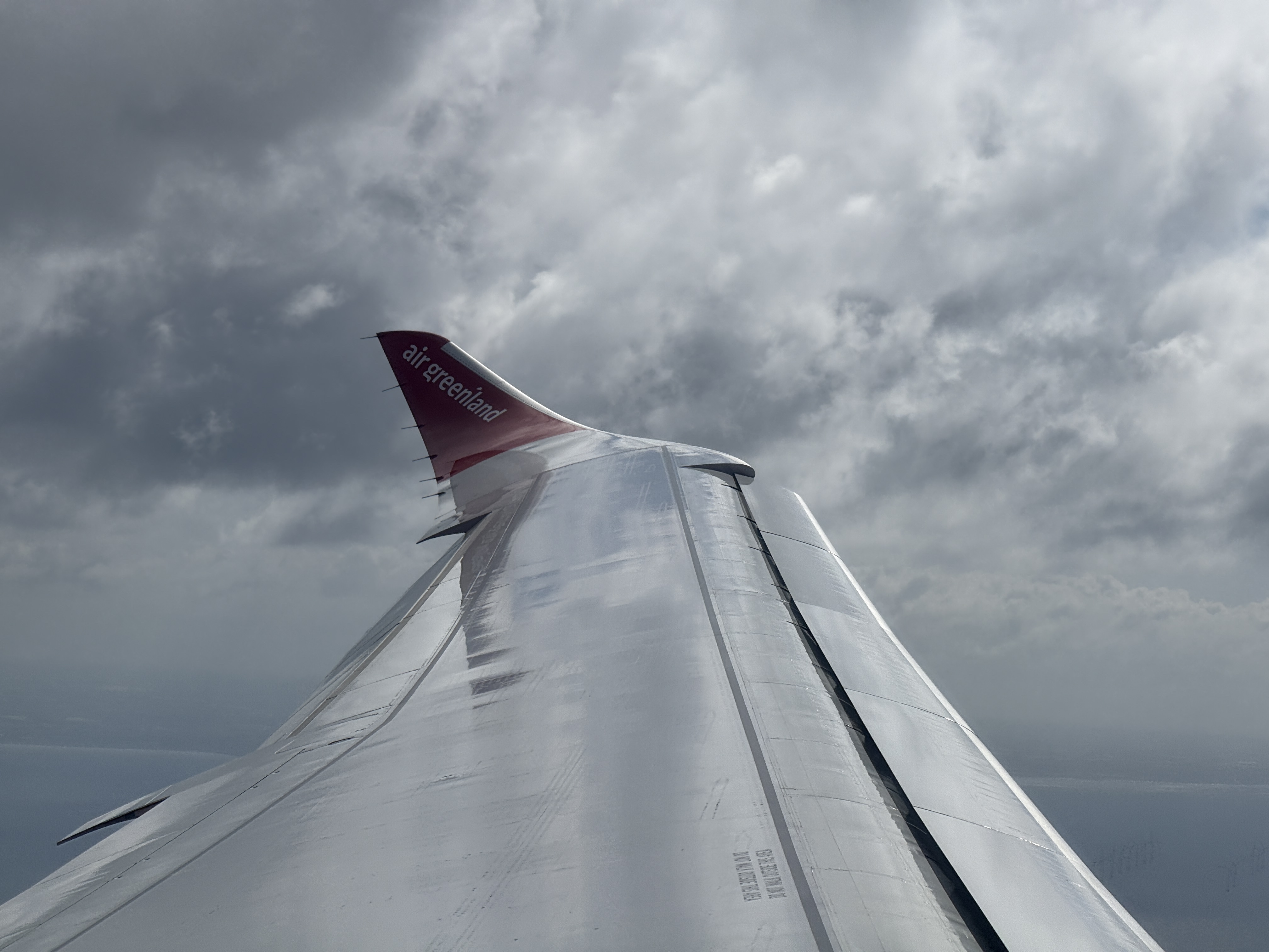 գGL781 GL272 籾 - Ŭ - ¬ ͦȦ