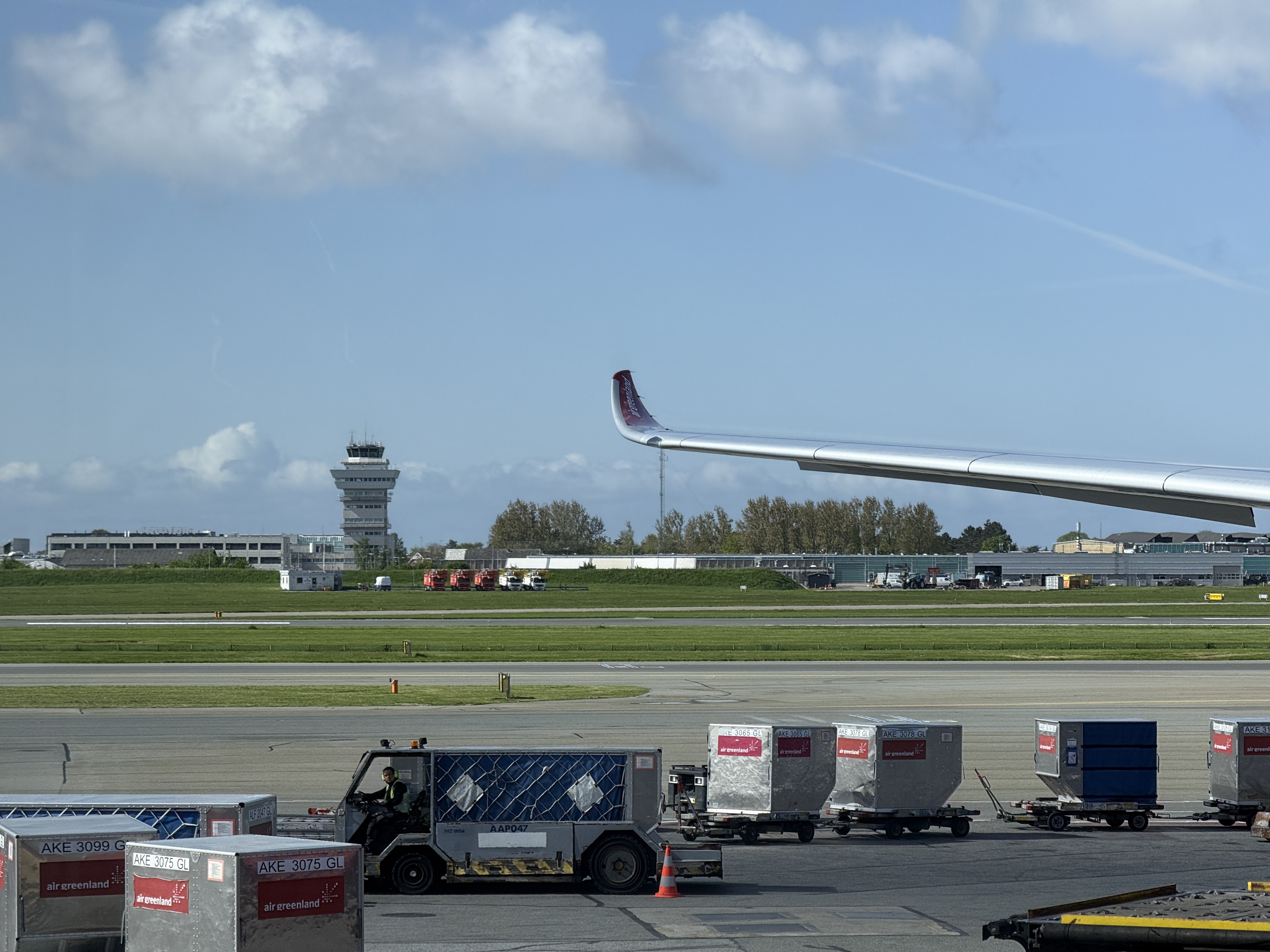 գGL781 GL272 籾 - Ŭ - ¬ ͦȦ