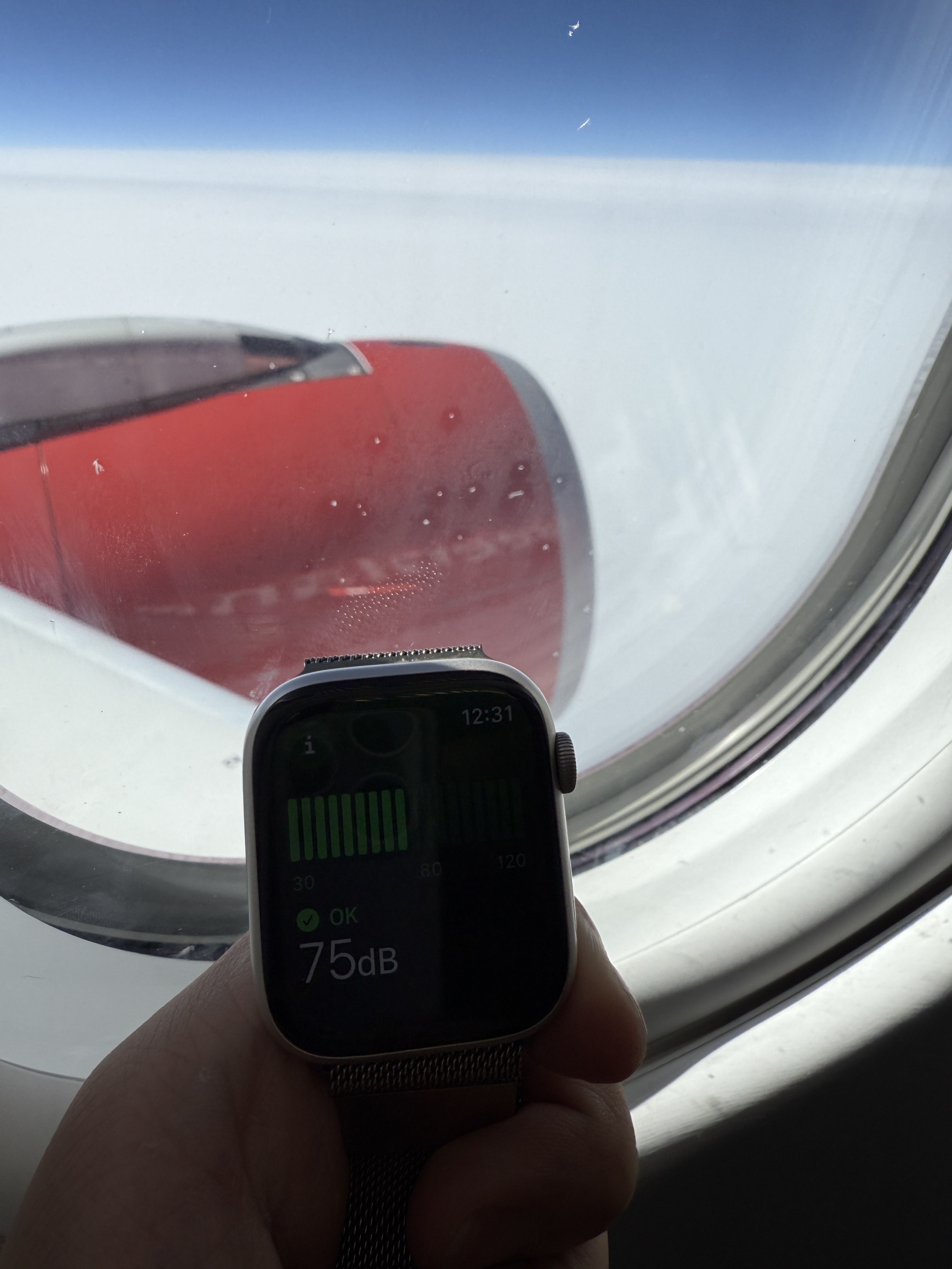 գGL781 GL272 籾 - Ŭ - ¬ ͦȦ