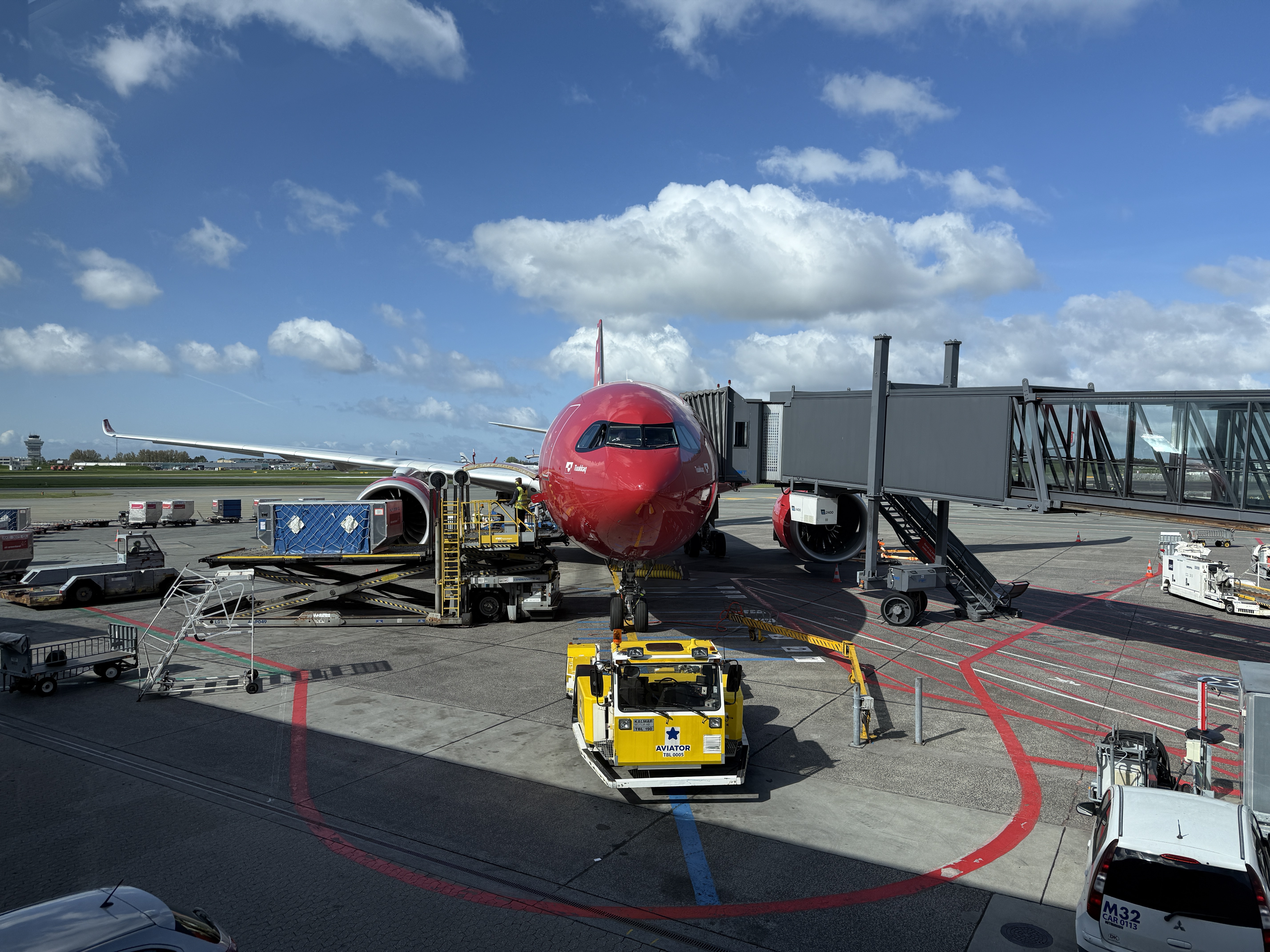 գGL781 GL272 籾 - Ŭ - ¬ ͦȦ
