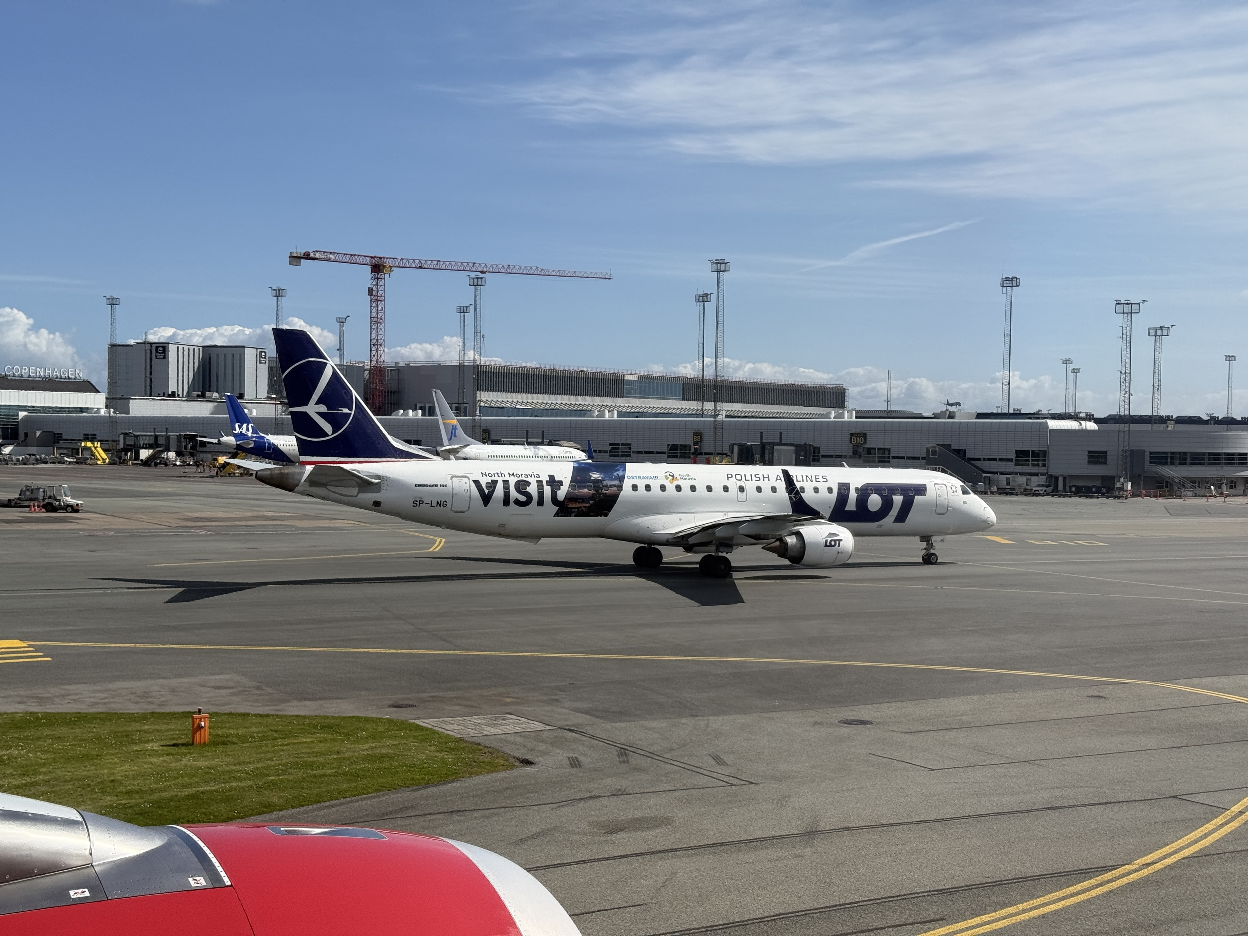 գGL781 GL272 籾 - Ŭ - ¬ ͦȦ