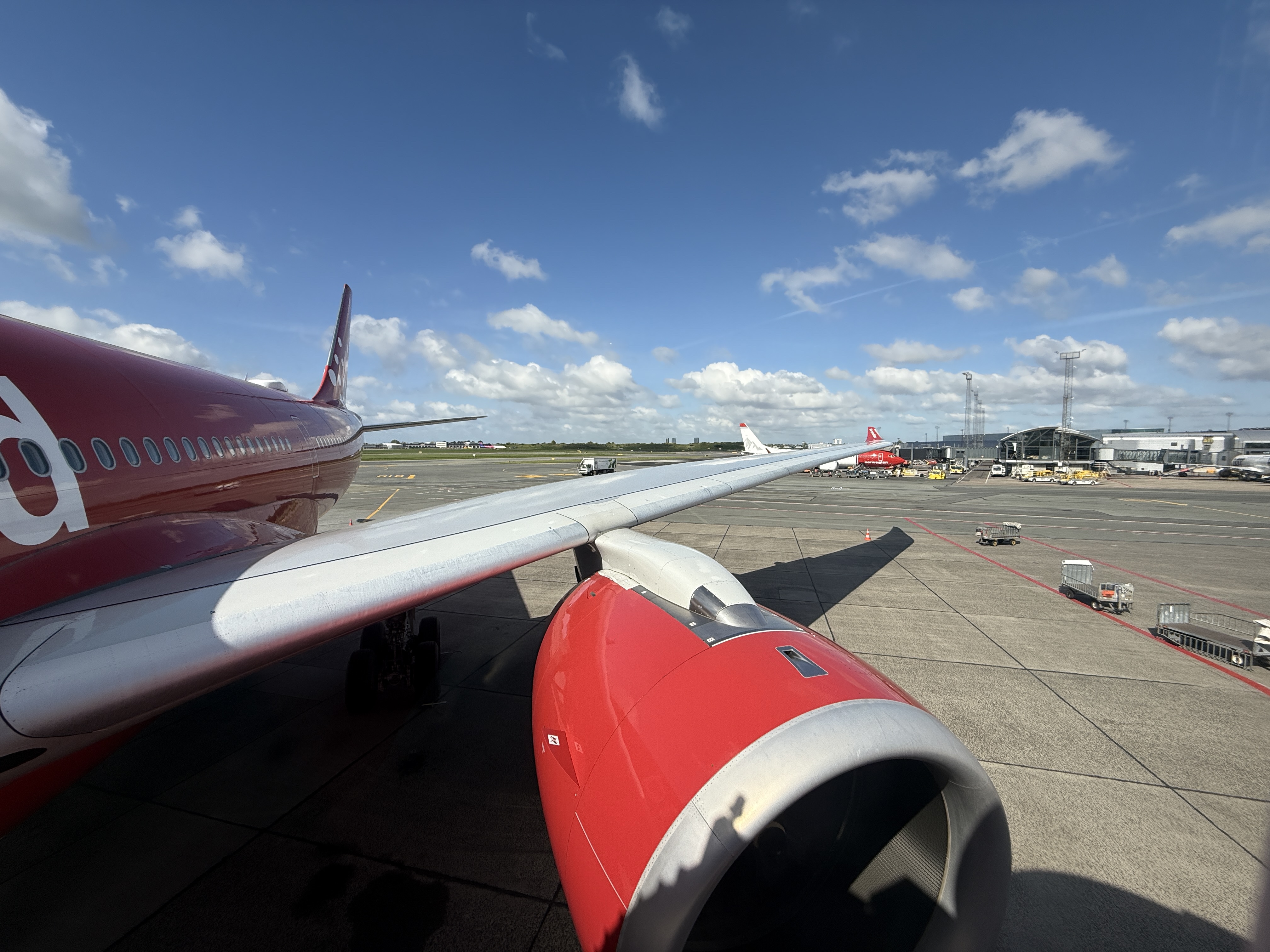 գGL781 GL272 籾 - Ŭ - ¬ ͦȦ