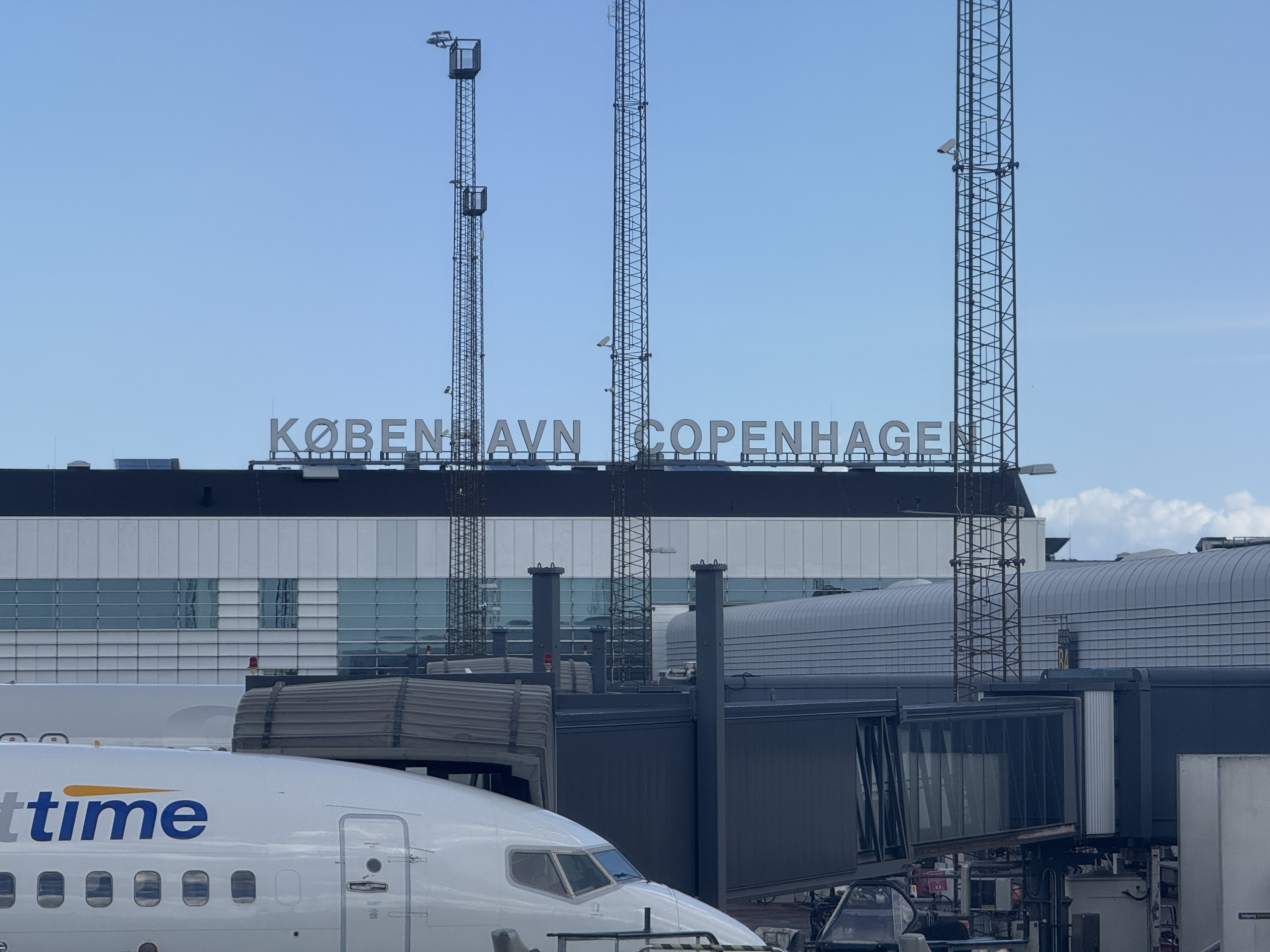 գGL781 GL272 籾 - Ŭ - ¬ ͦȦ