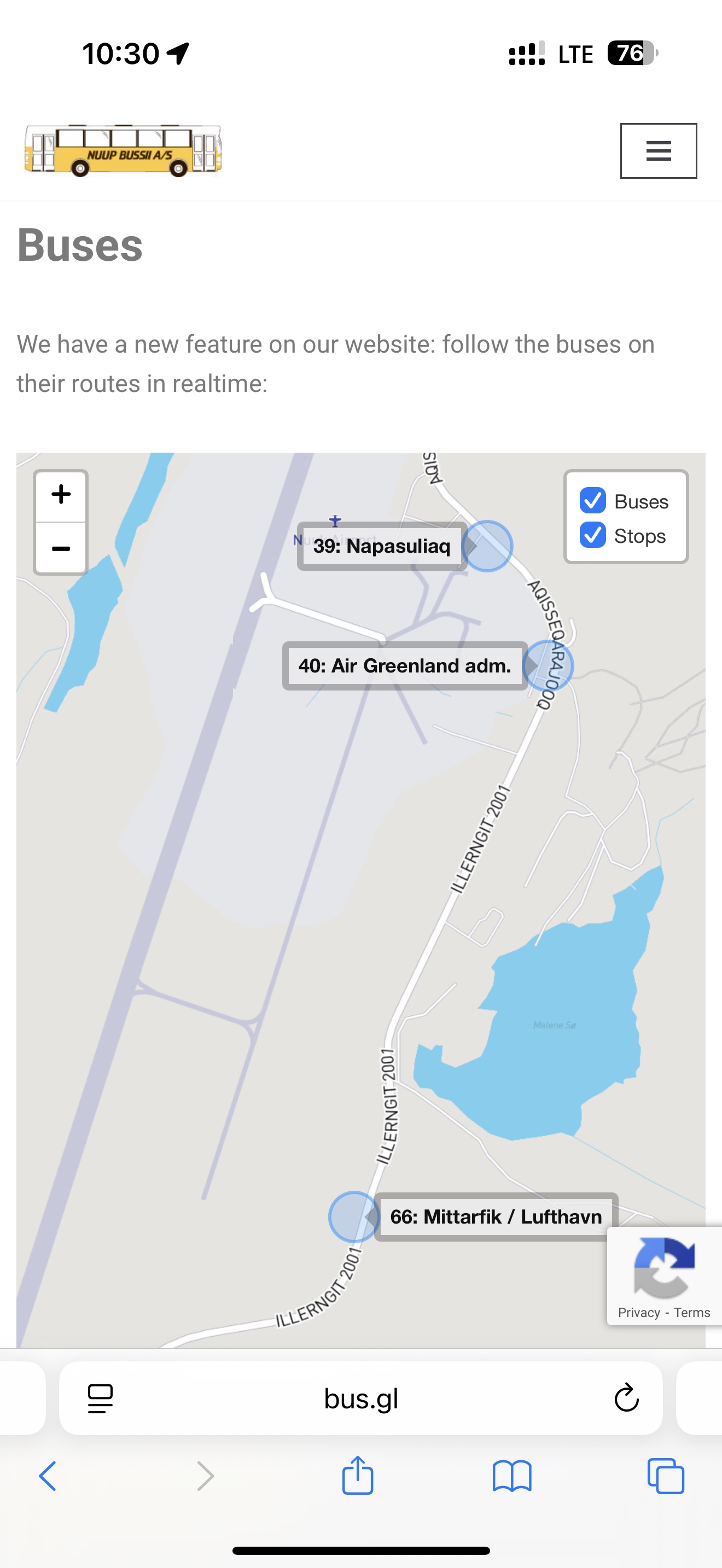 գGL781 GL272 籾 - Ŭ - ¬ ͦȦ