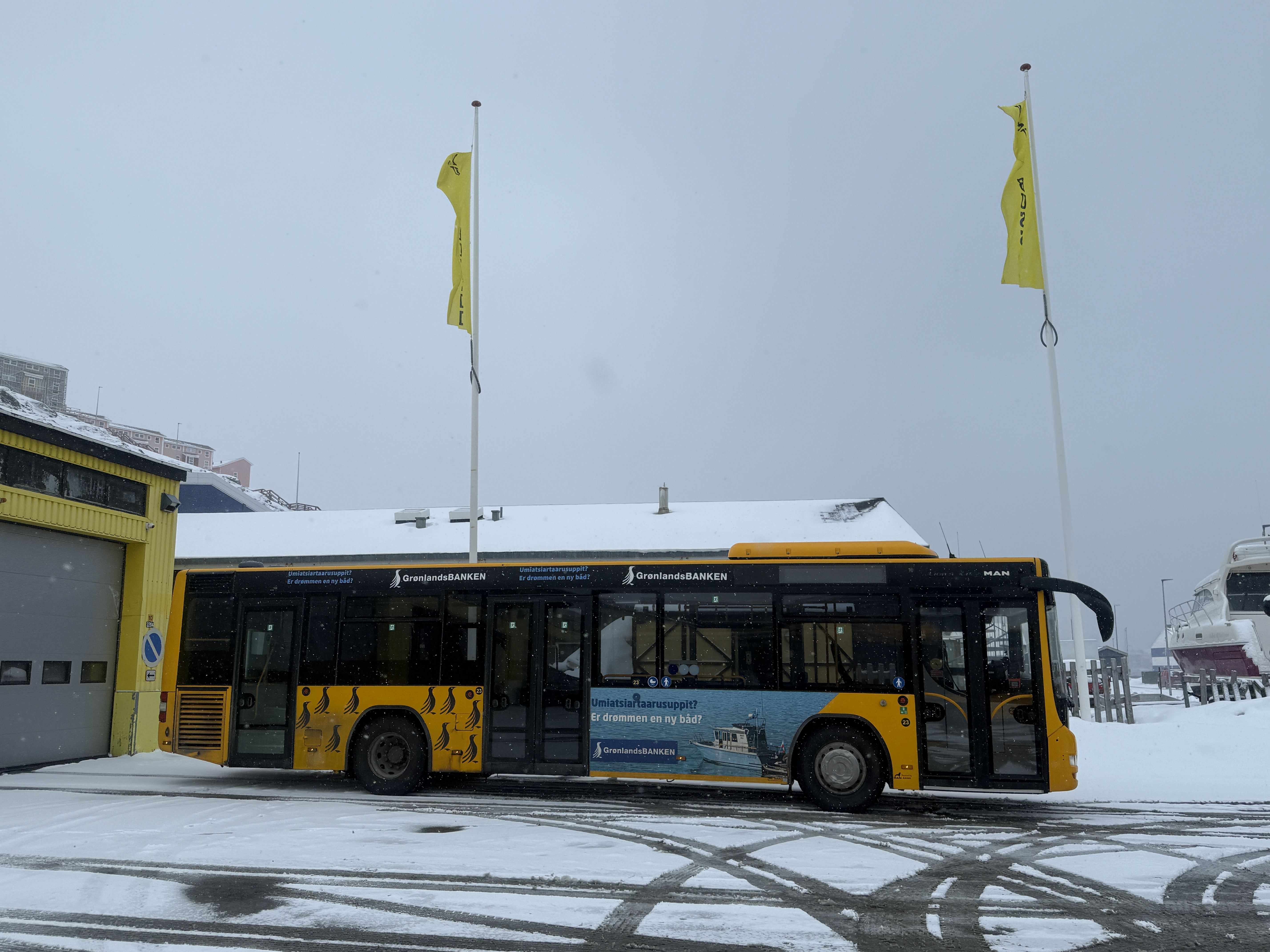 գGL781 GL272 籾 - Ŭ - ¬ ͦȦ