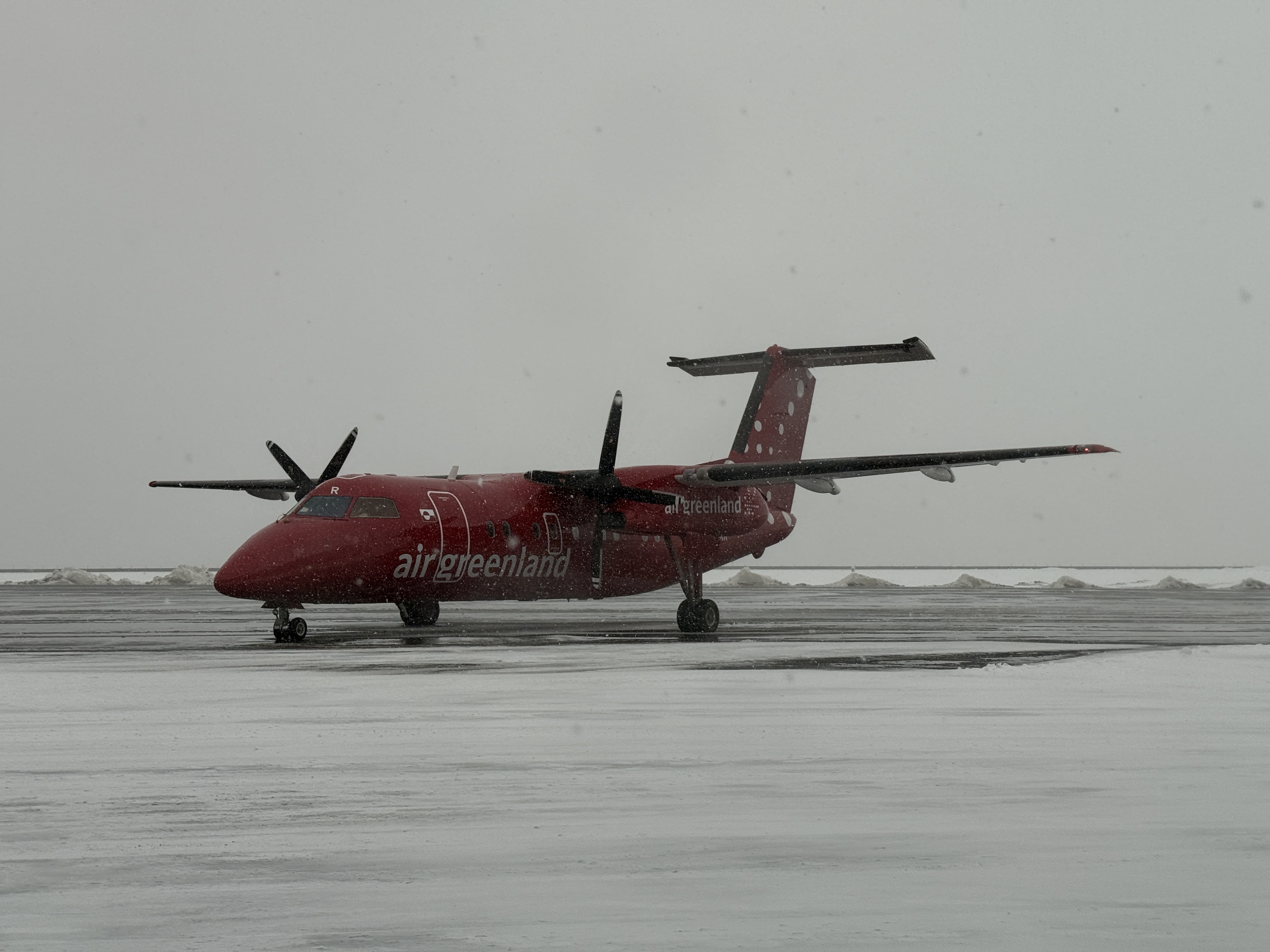 գGL781 GL272 籾 - Ŭ - ¬ ͦȦ