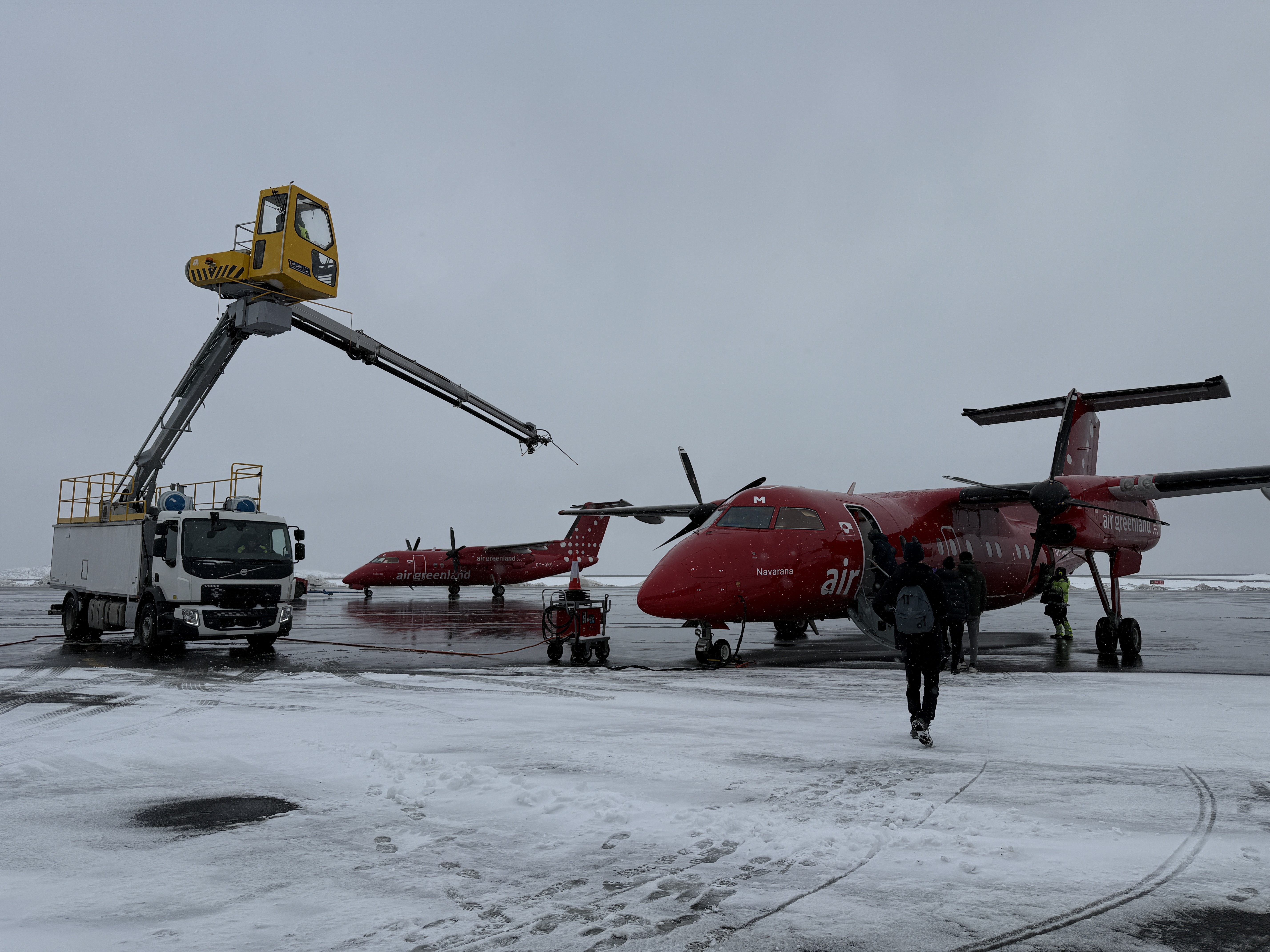 գGL781 GL272 籾 - Ŭ - ¬ ͦȦ