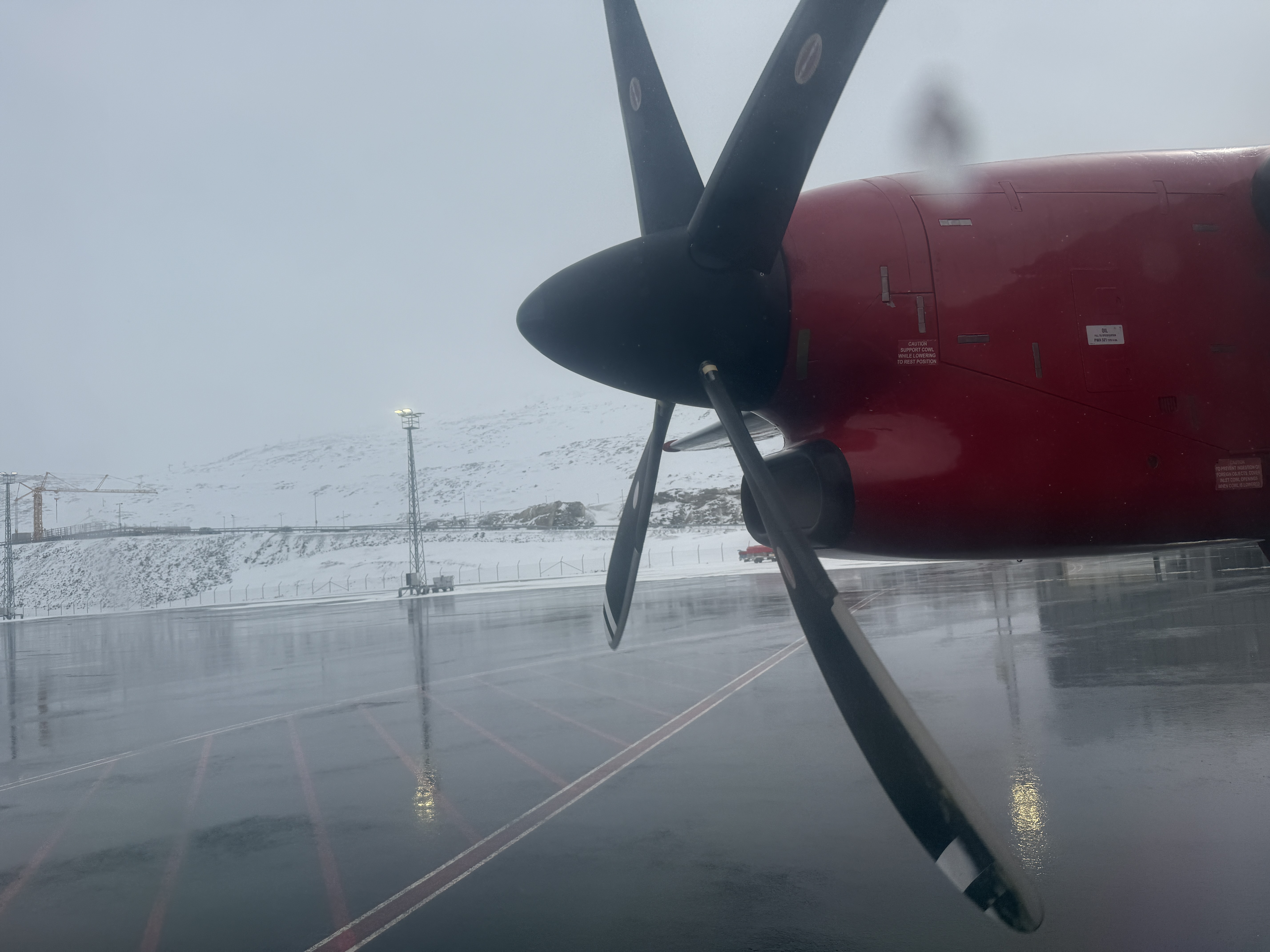 գGL781 GL272 籾 - Ŭ - ¬ ͦȦ