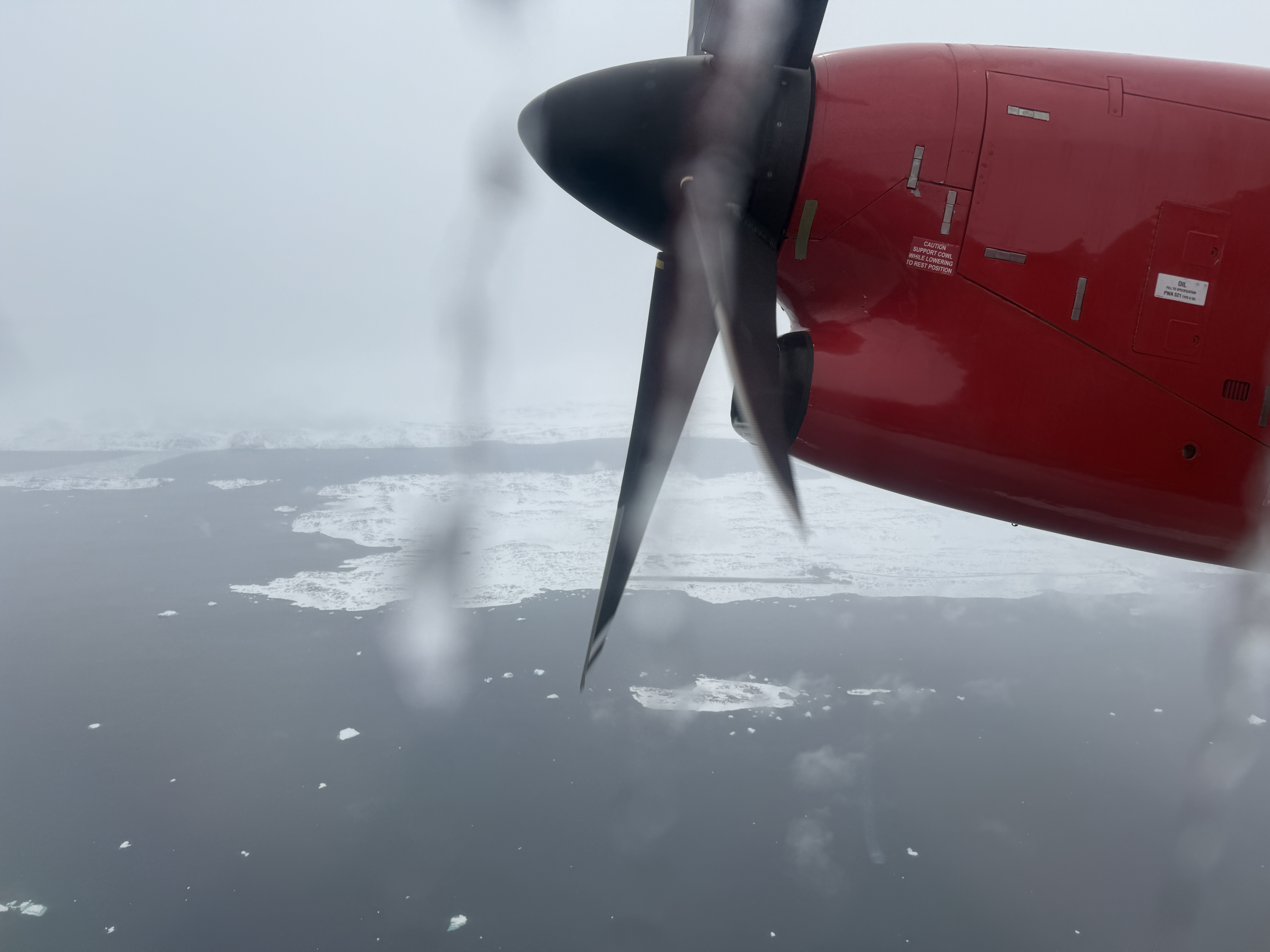 գGL781 GL272 籾 - Ŭ - ¬ ͦȦ