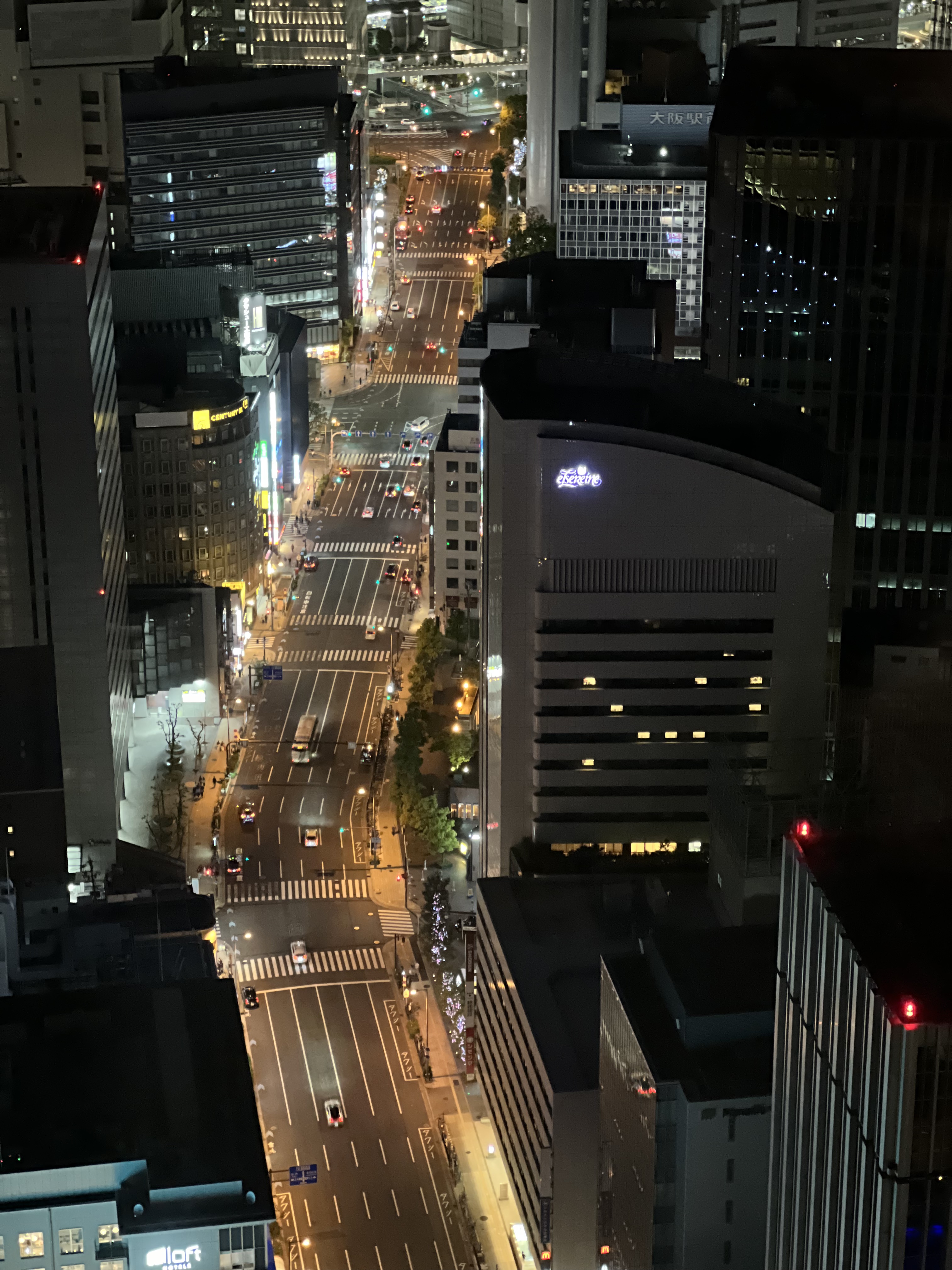 һ濵¡»ָ