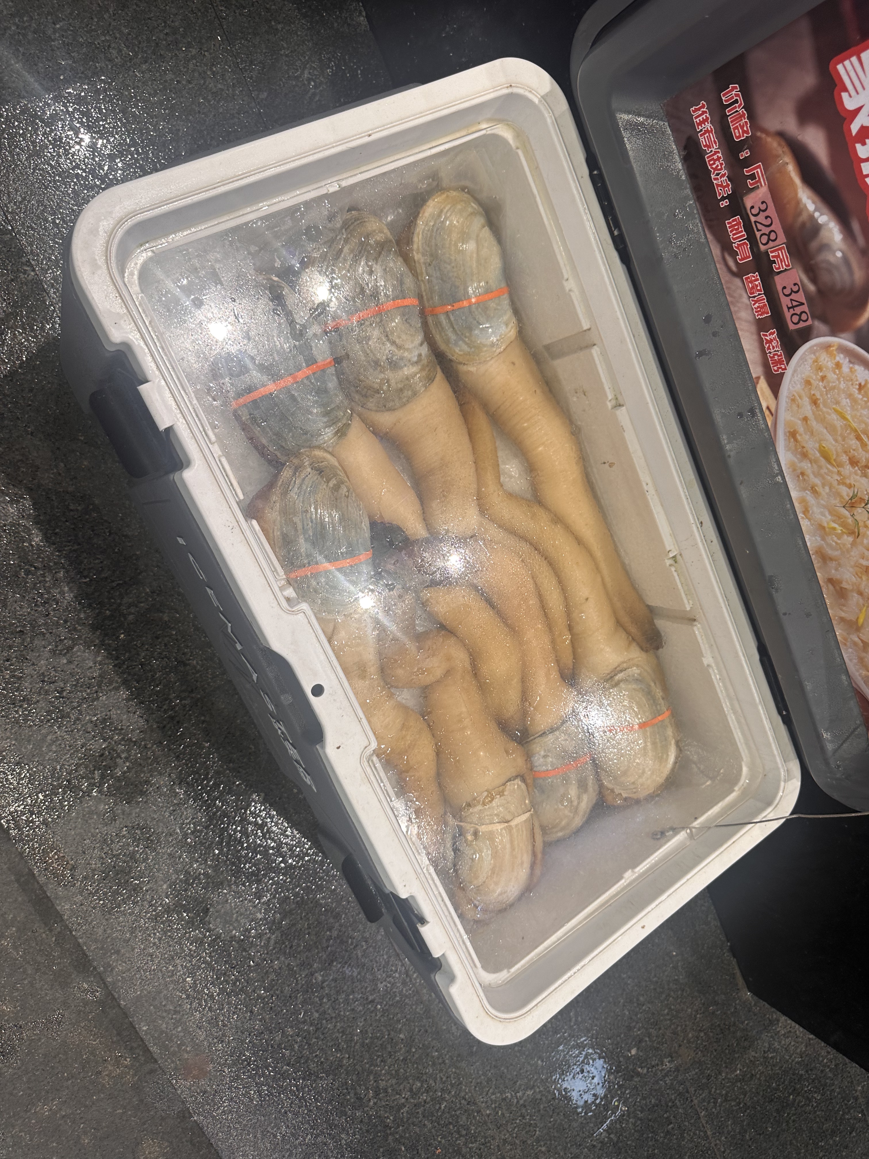 ͦõķɽˮü