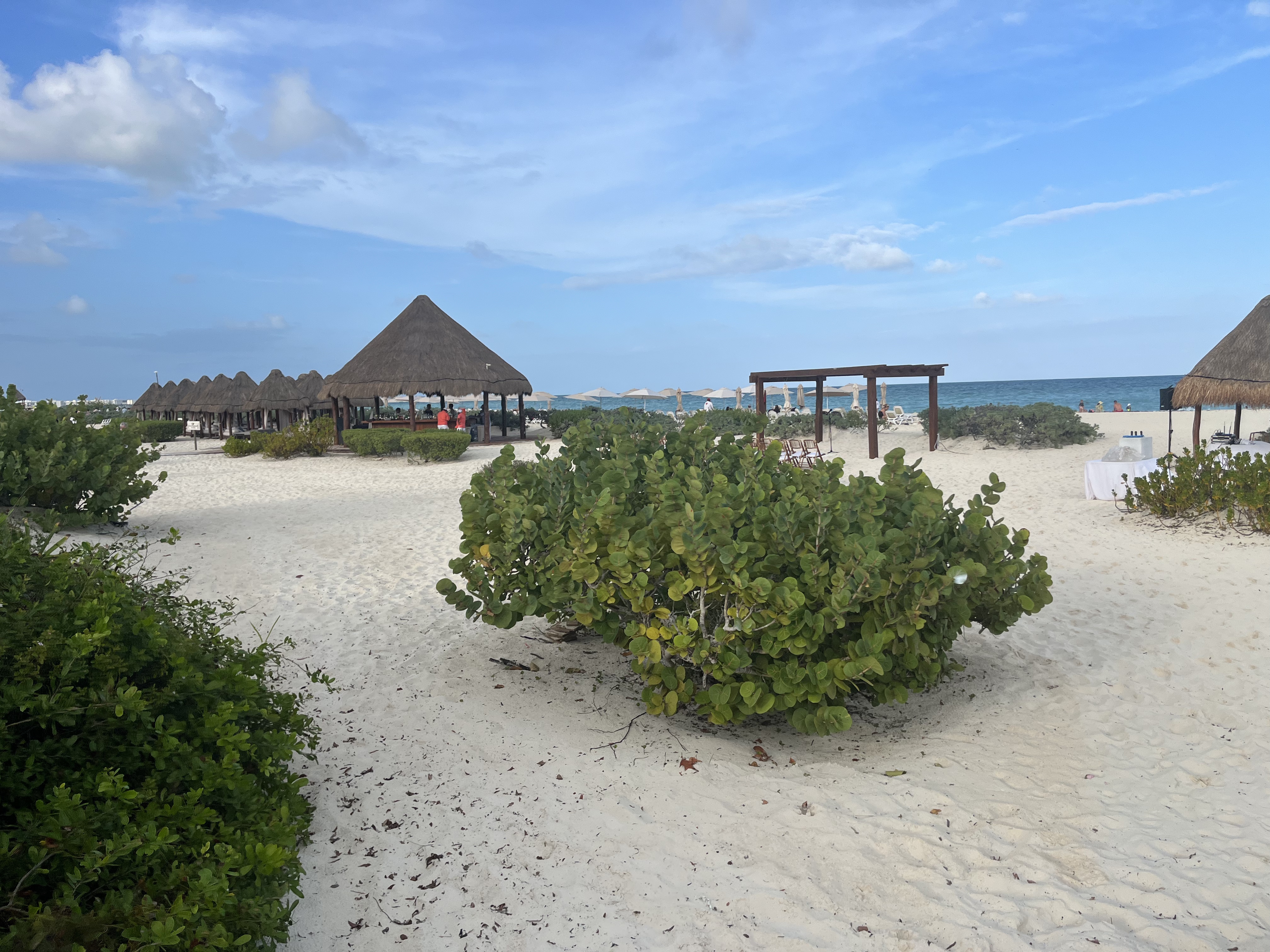 ƽ-Cancun dreams playa mujeres golf & spa resort