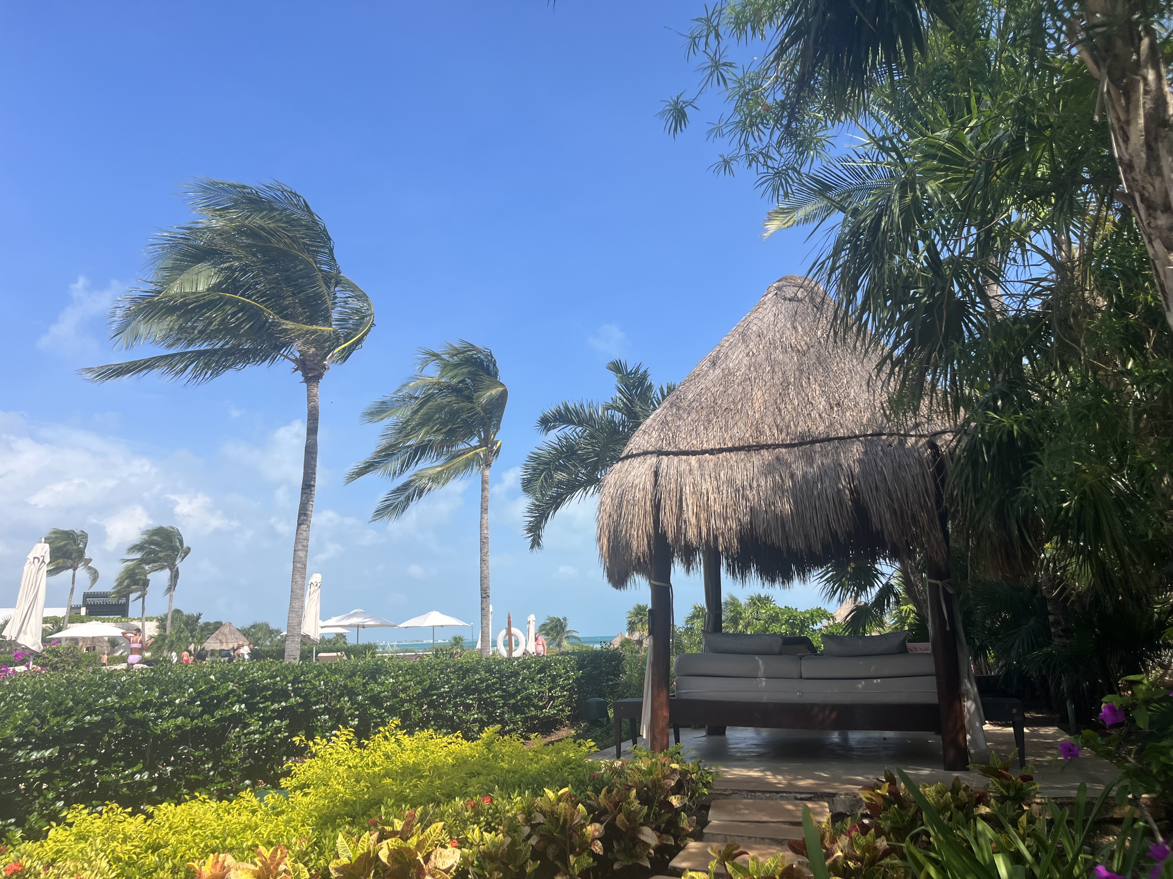 ƽ-Cancun dreams playa mujeres golf & spa resort