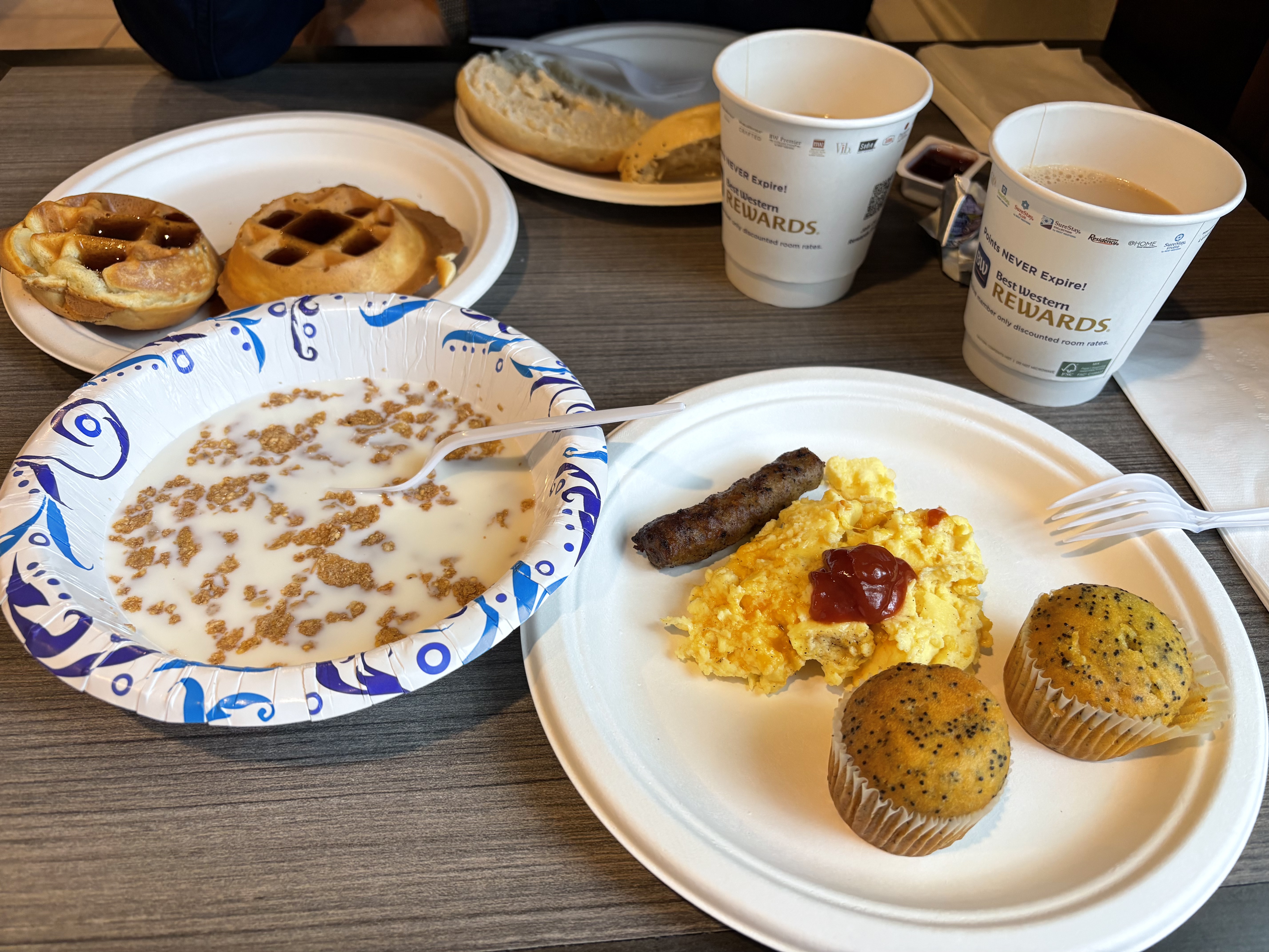 Jackson Best Western׼motel鵫Աʤ[byϺСҽ]