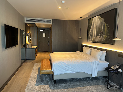 🇮🇪ϻʼҾƵRadisson Blu Royal Hotel650rmb