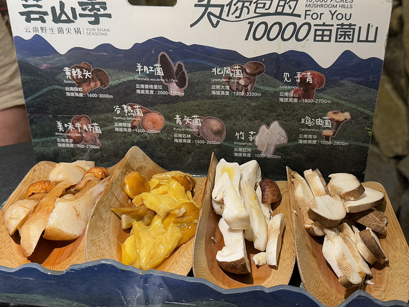 101816SWXRUMVSBABSIHCM.png