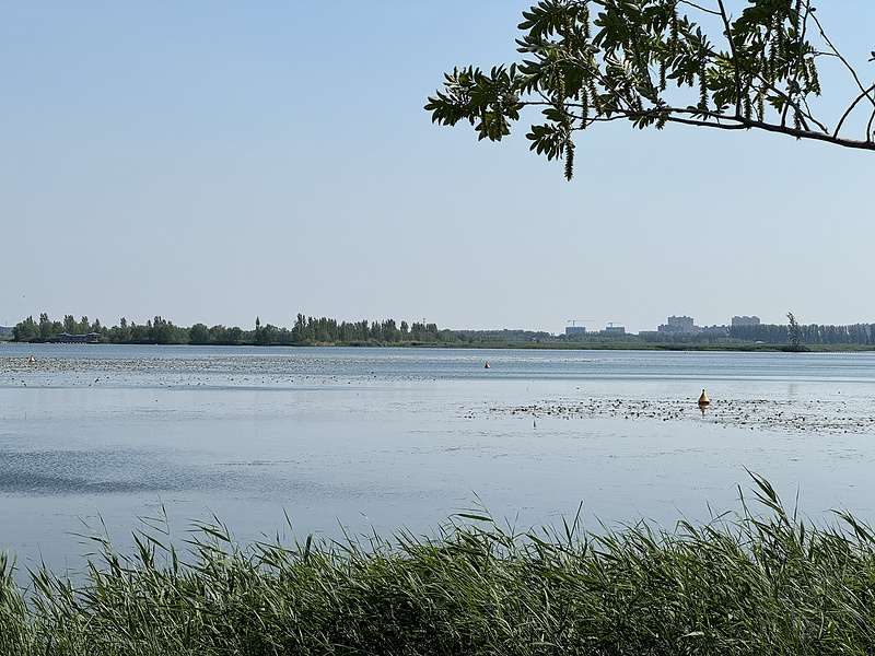 173025JHXZJOQSXNTKUUXN.png
