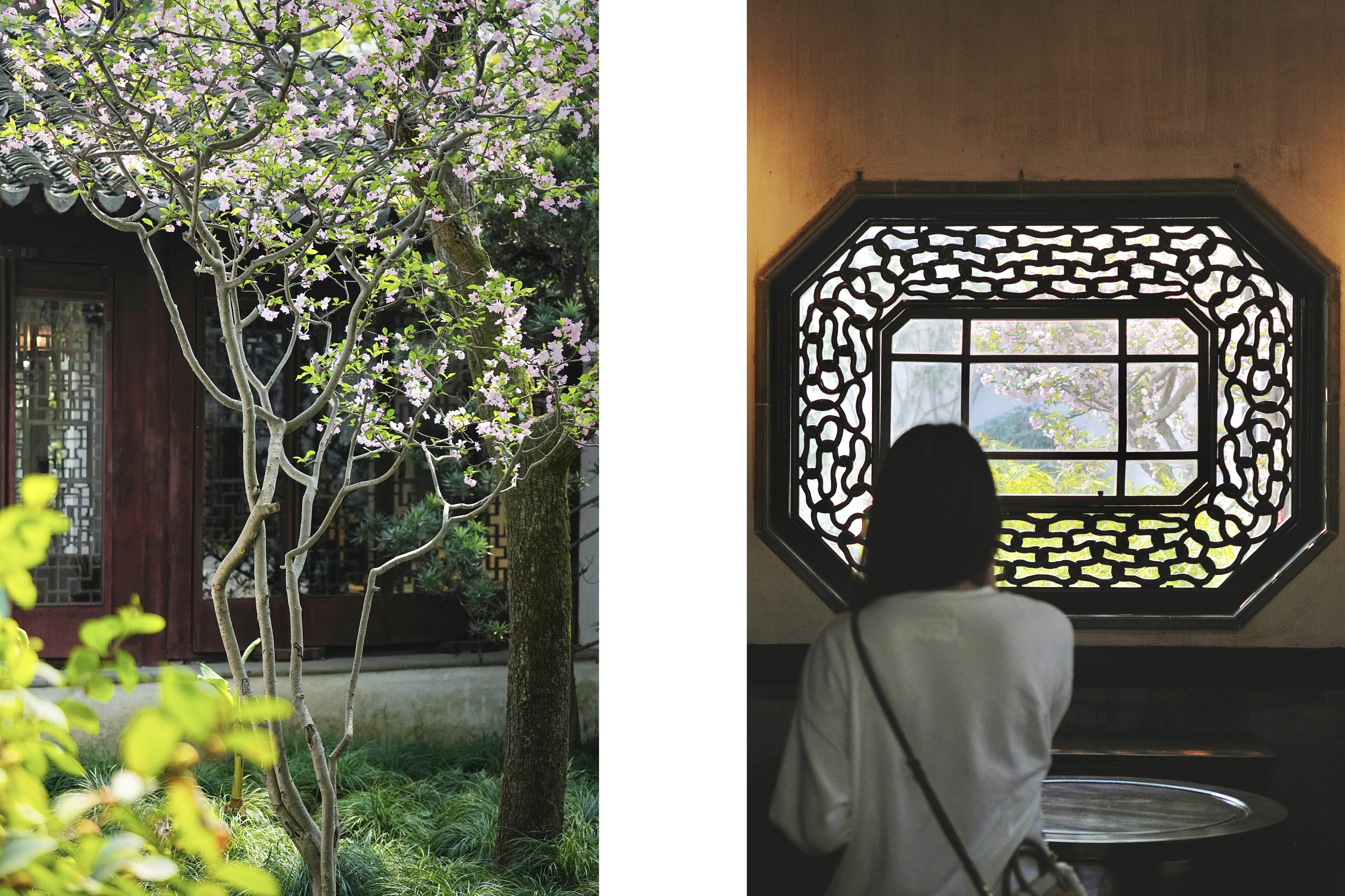 һιգ˼ The Ritz-Carlton Suzhou