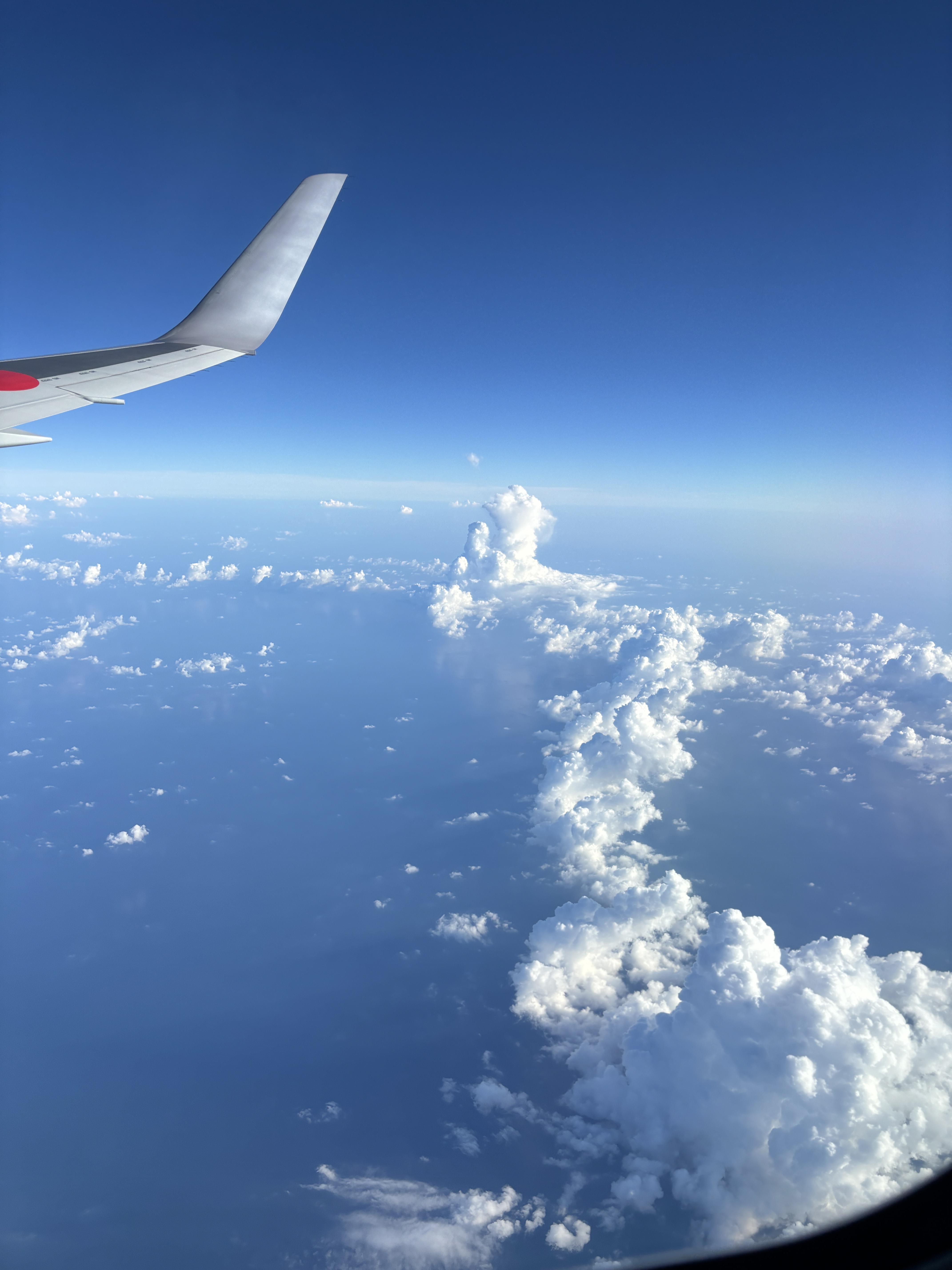JALB777-300 ER òգPVG - HND - DFW б