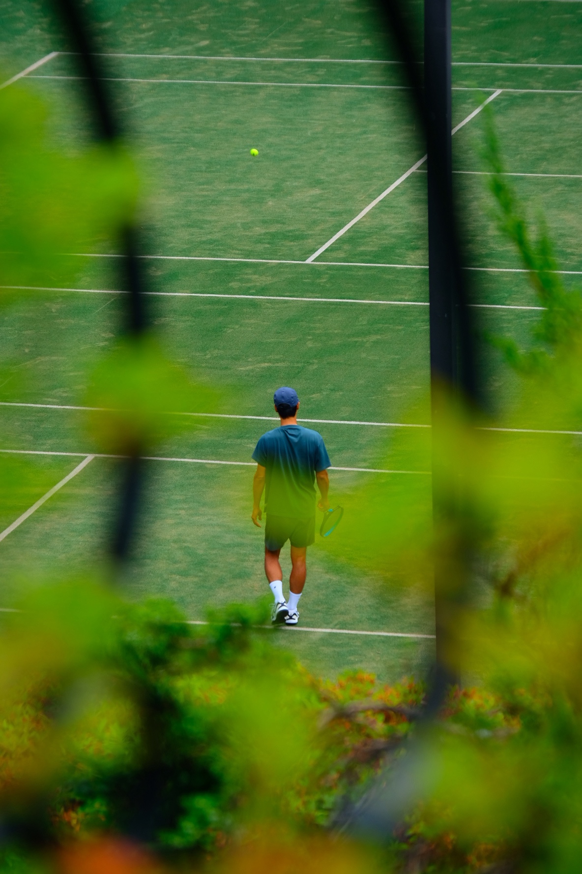 Still in the Spring | ׶֮ @ ׶