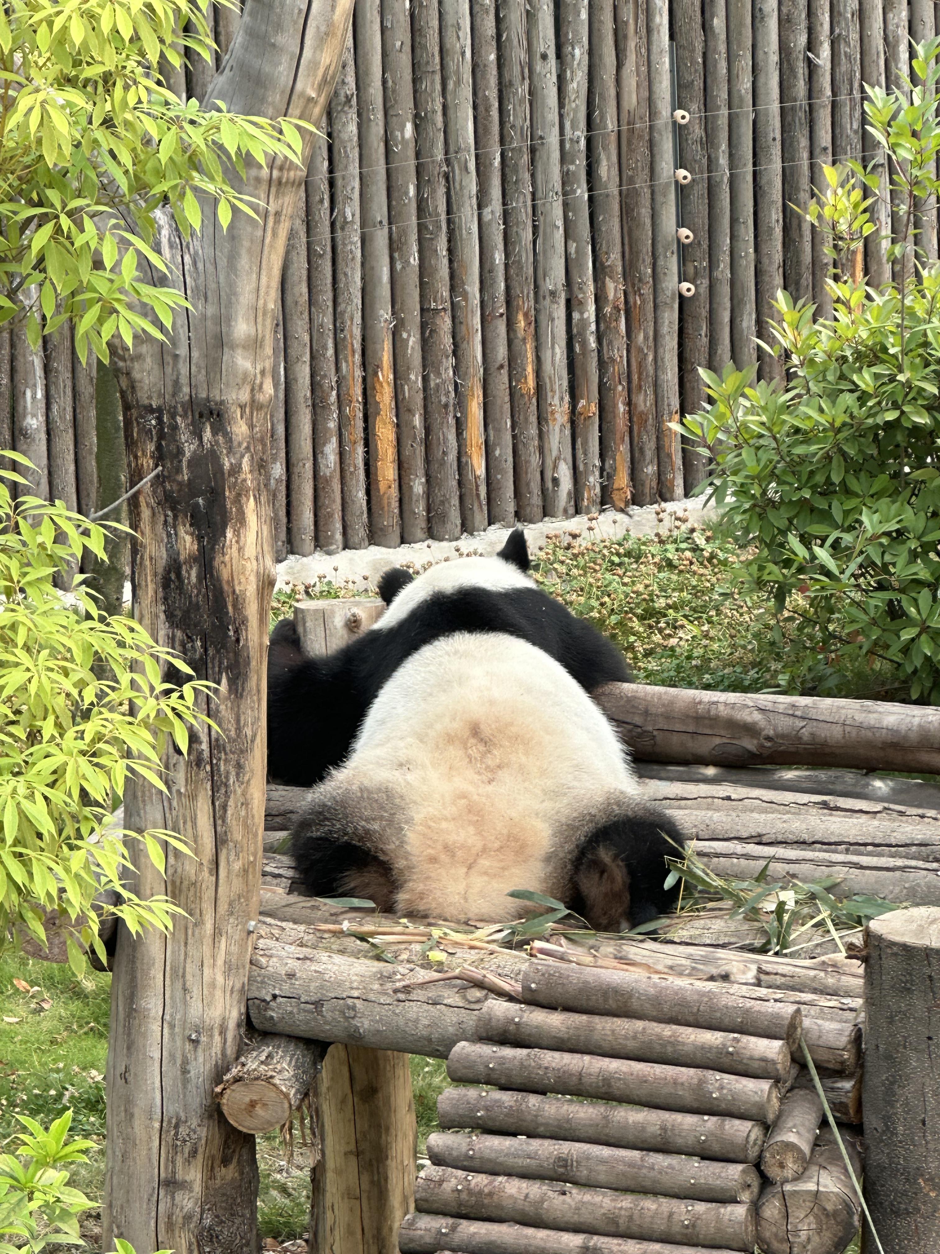 ɶȫذ