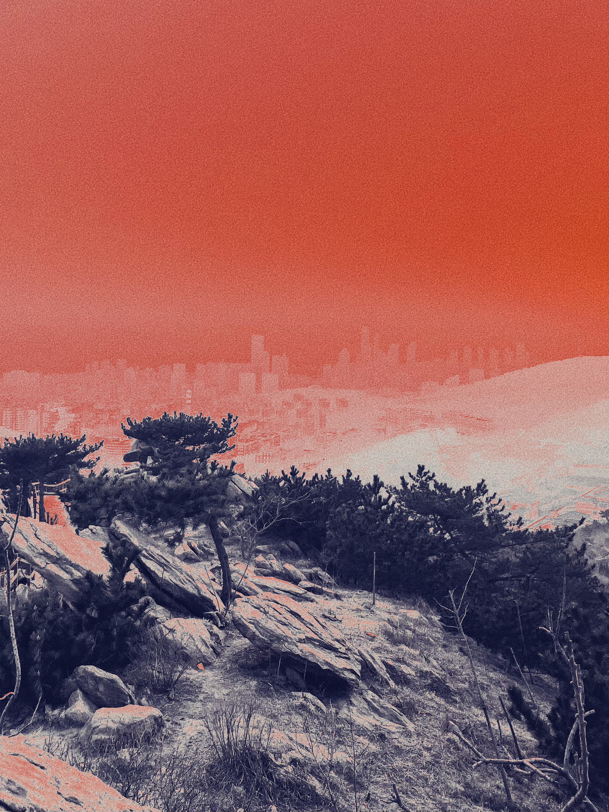 ɽ괦һҹߣһൺɽۿþƵСס
