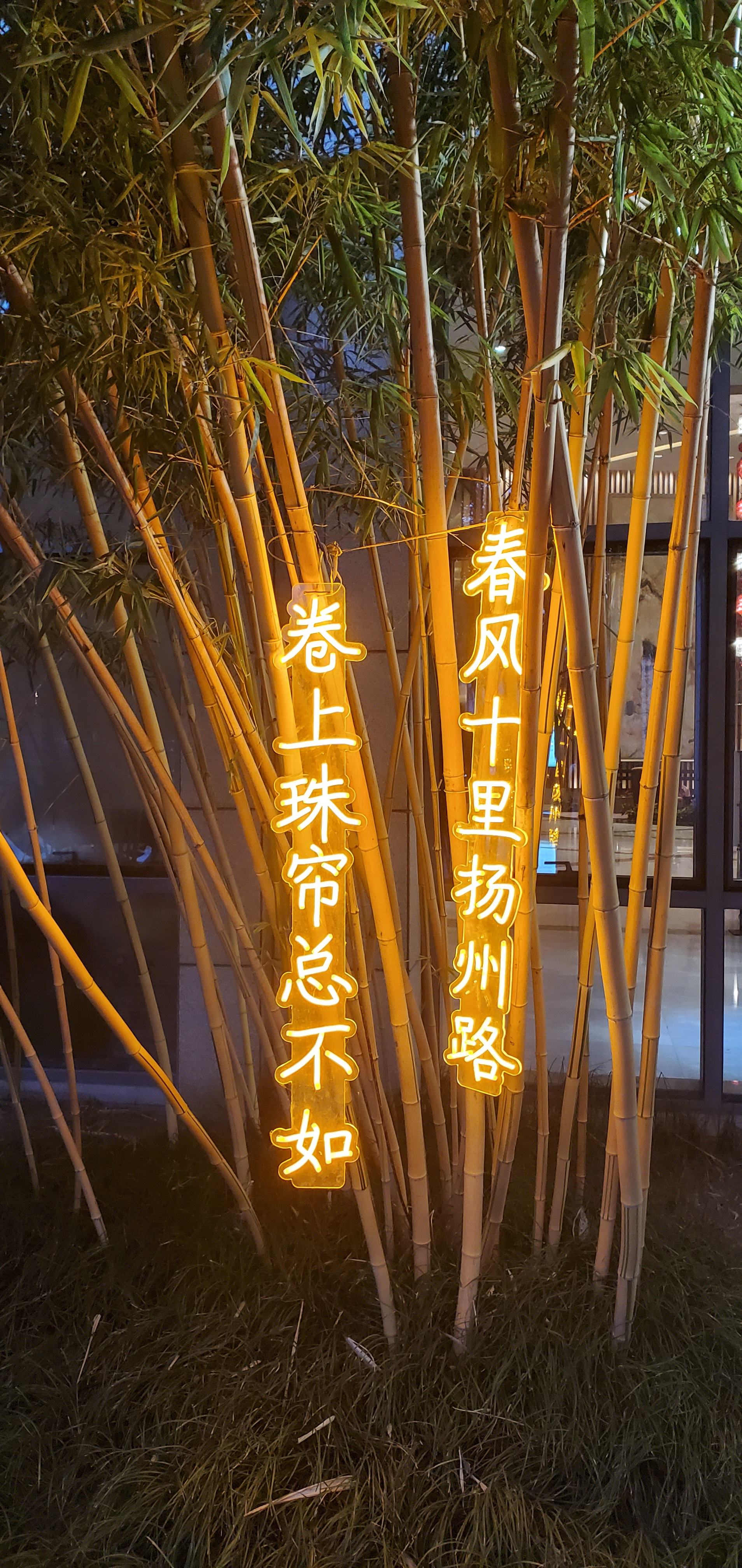 IHGļ䡫ݻʹڼվƵ
