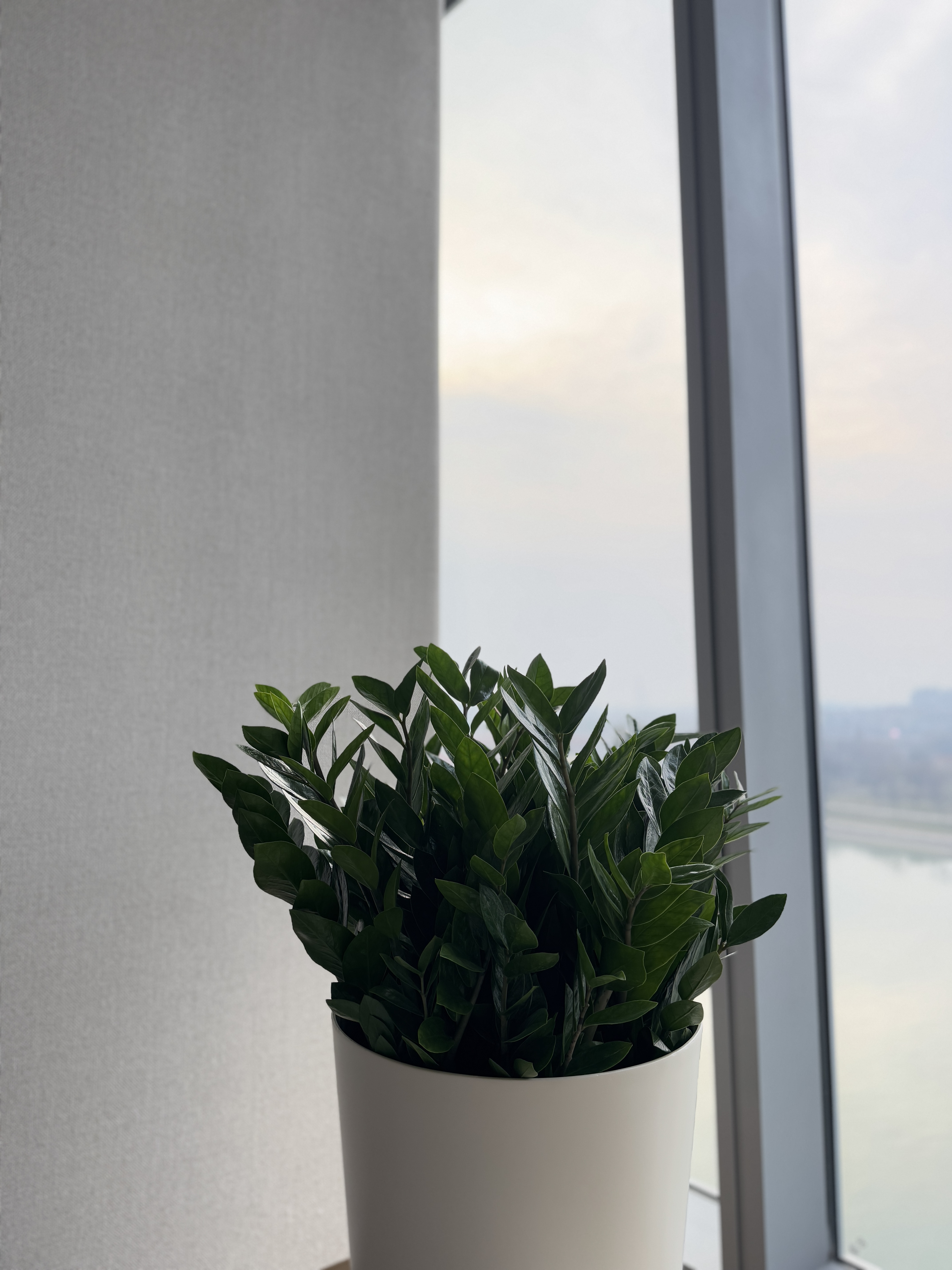 165 𼪾Ƶ/St.Regis belgrade