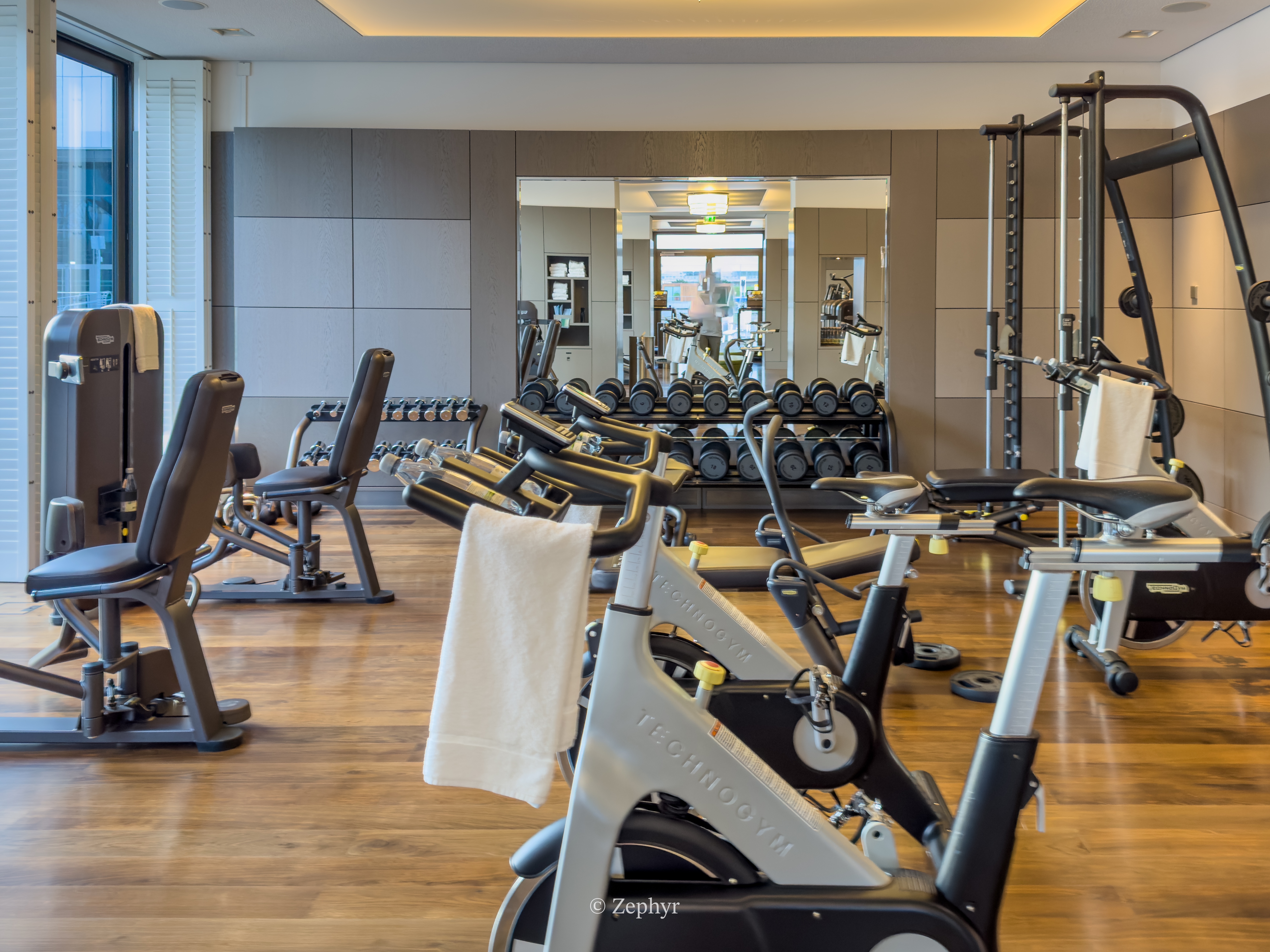 ✖️Ħʨ¹ֶ˹˼ ɫ׷ The Ritz-Carlton, Wolfsburg